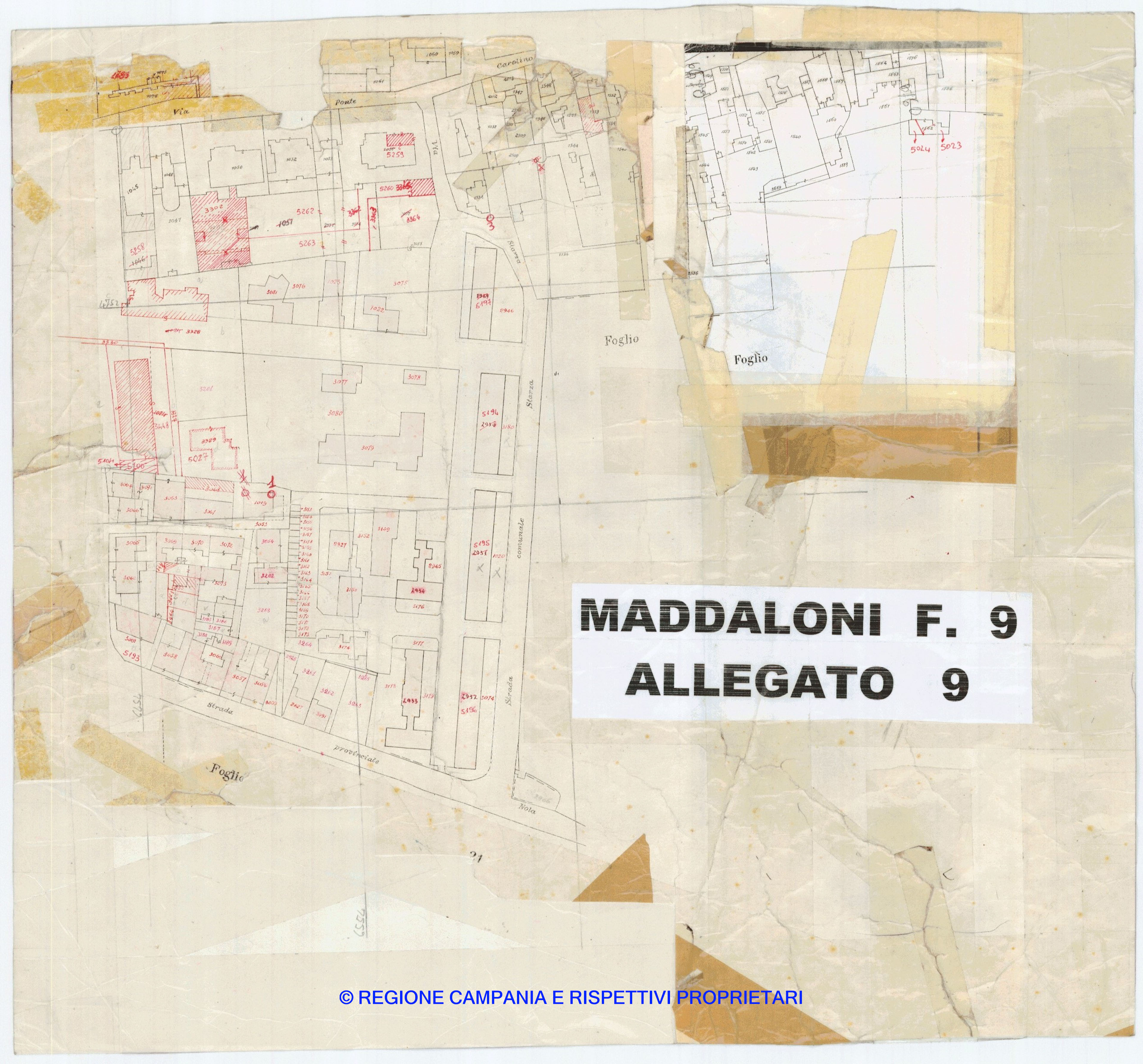 Allegati