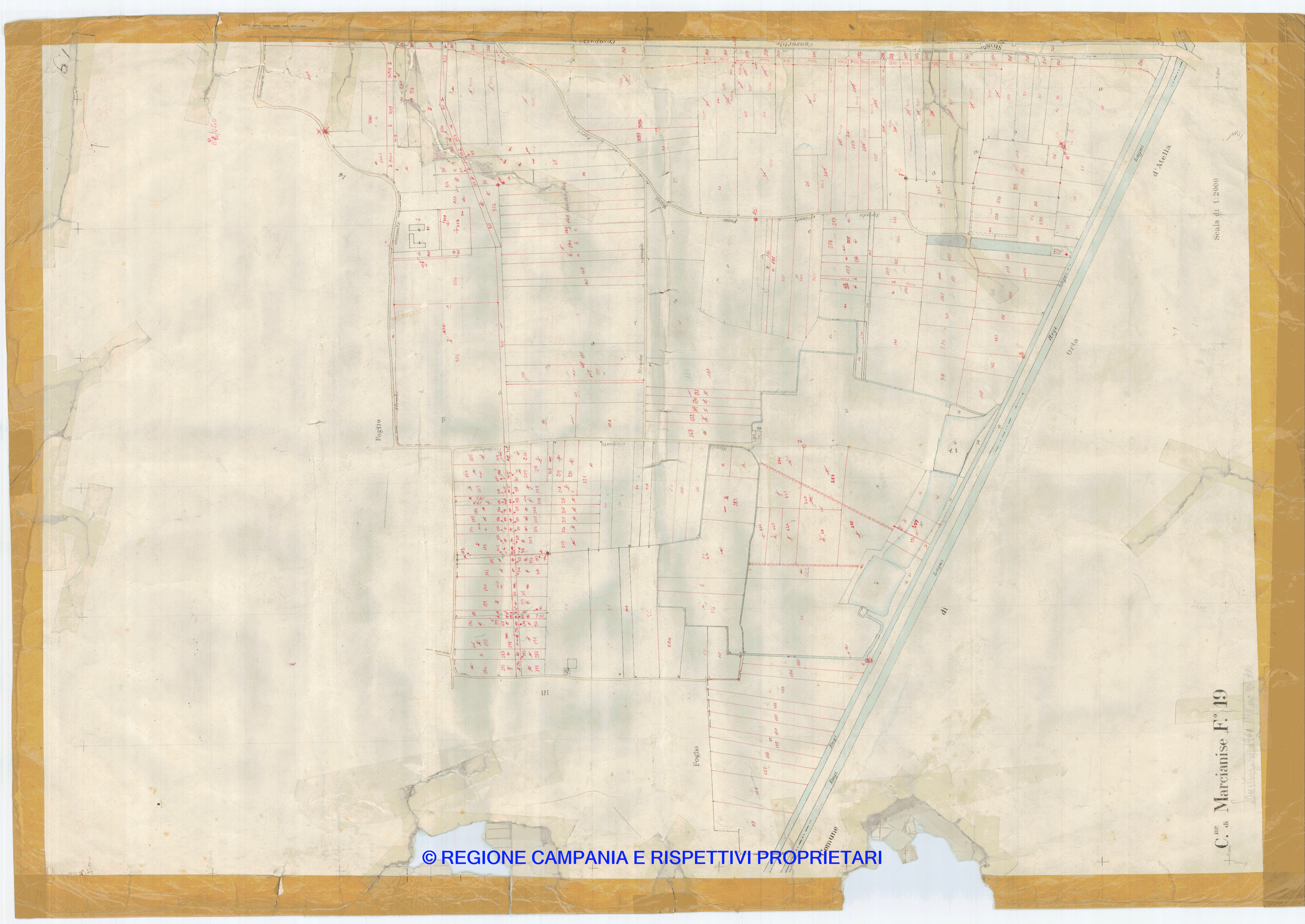 Mappa