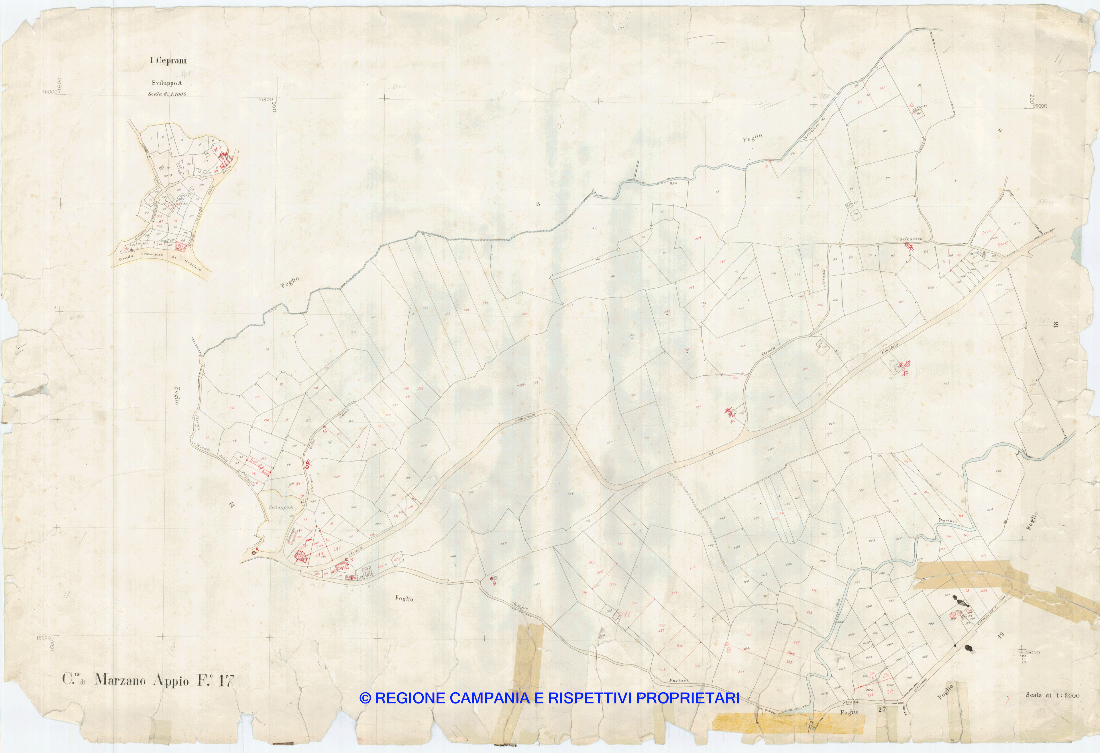 Mappa