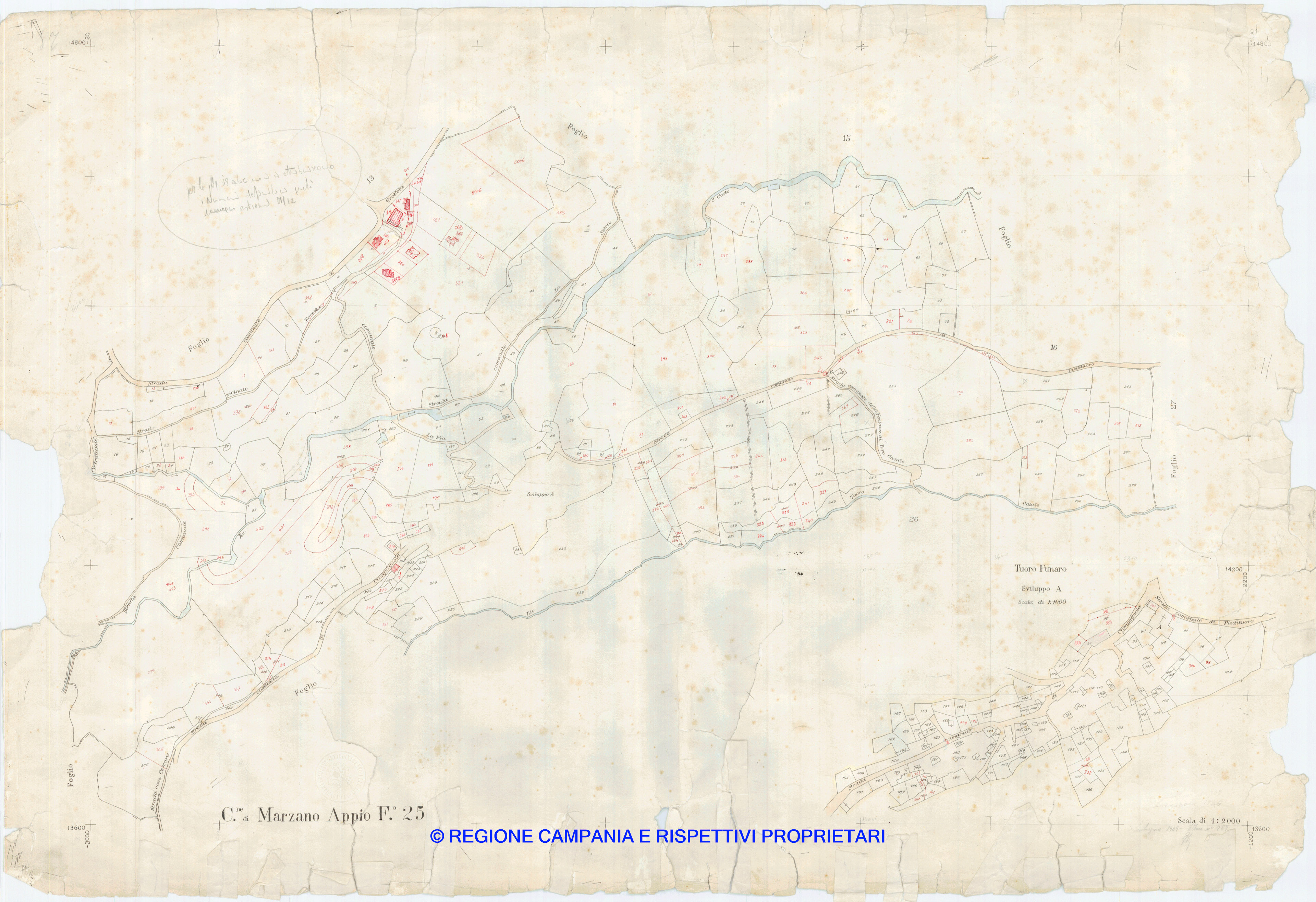 Mappa
