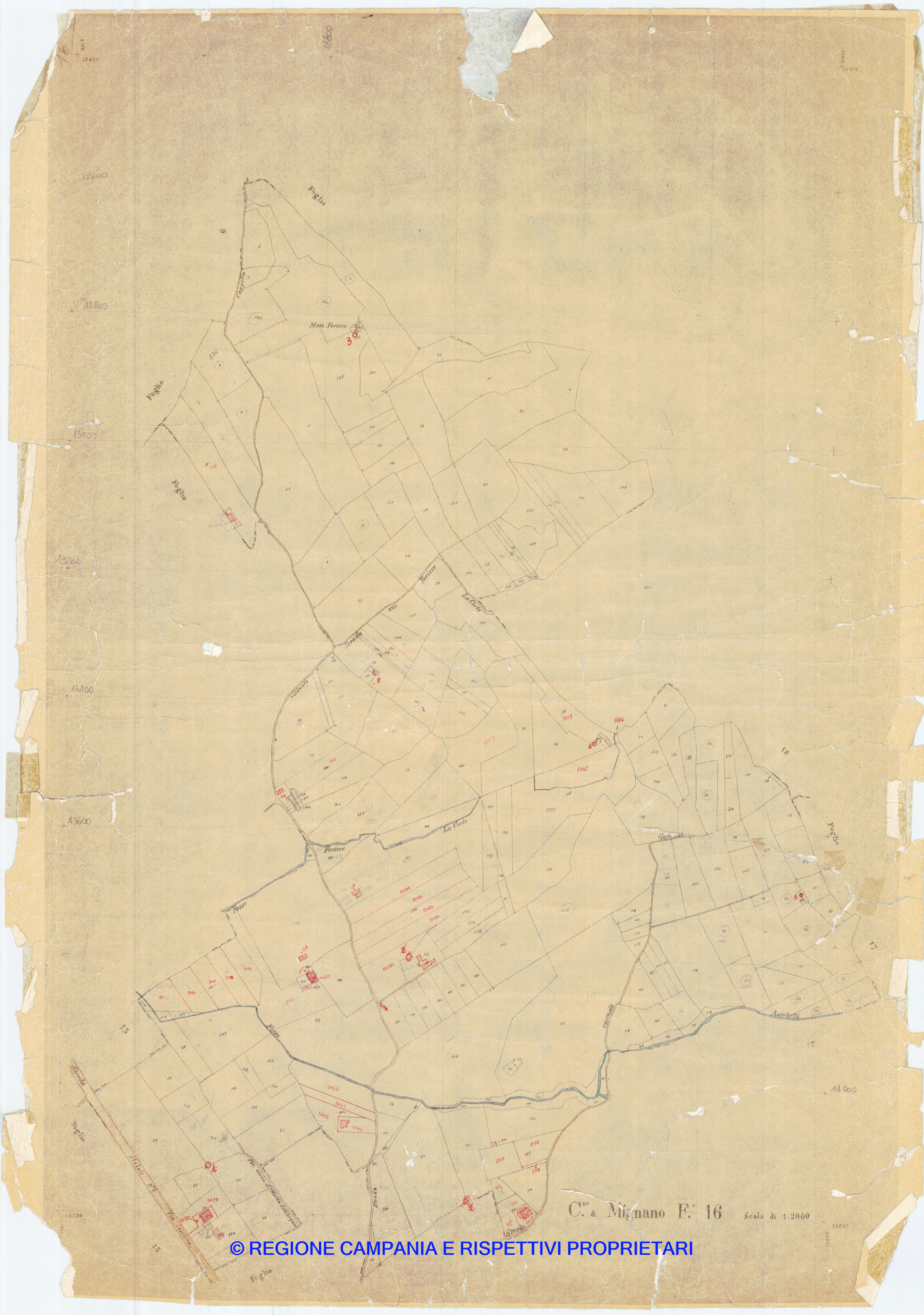 Mappa