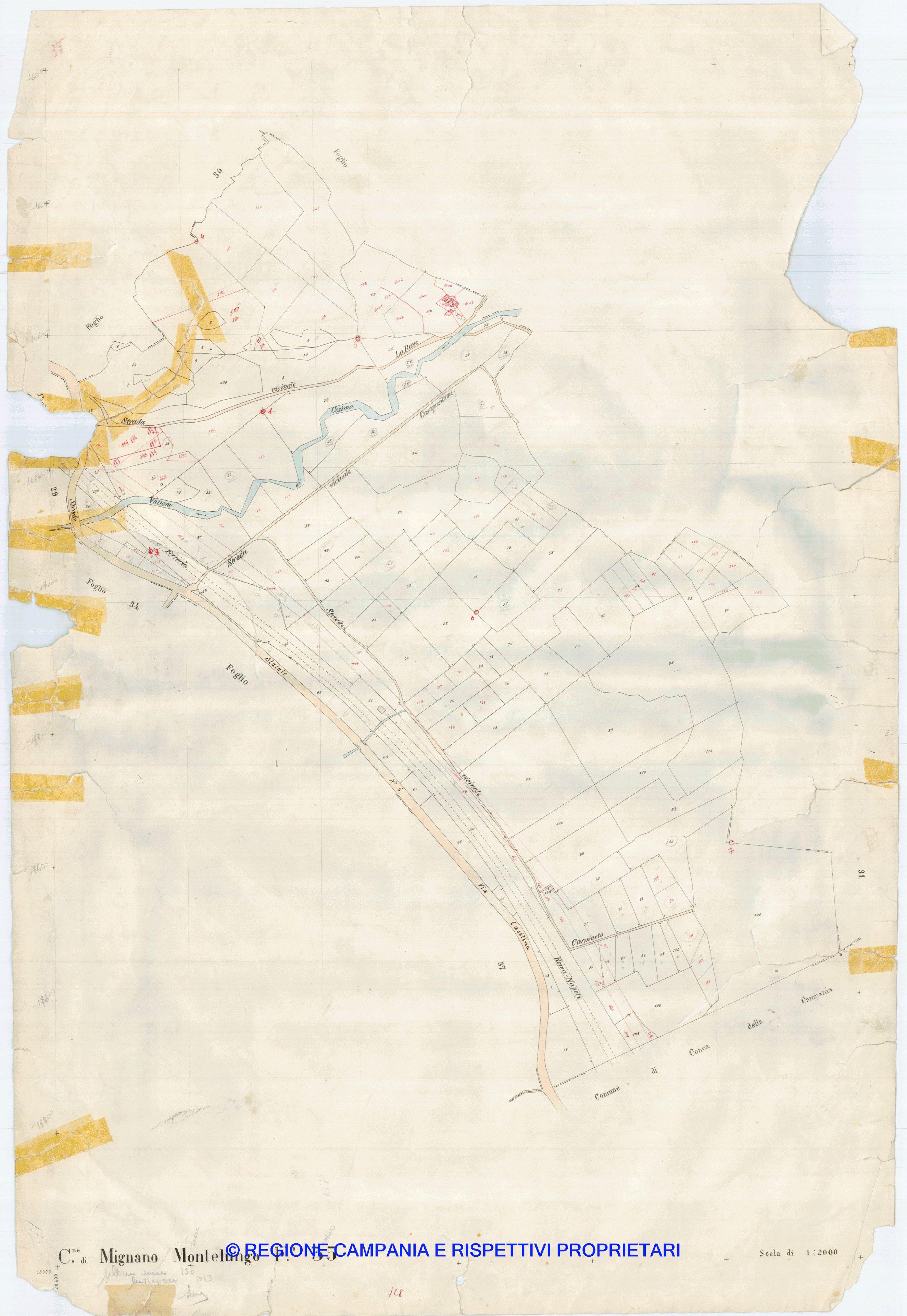 Mappa