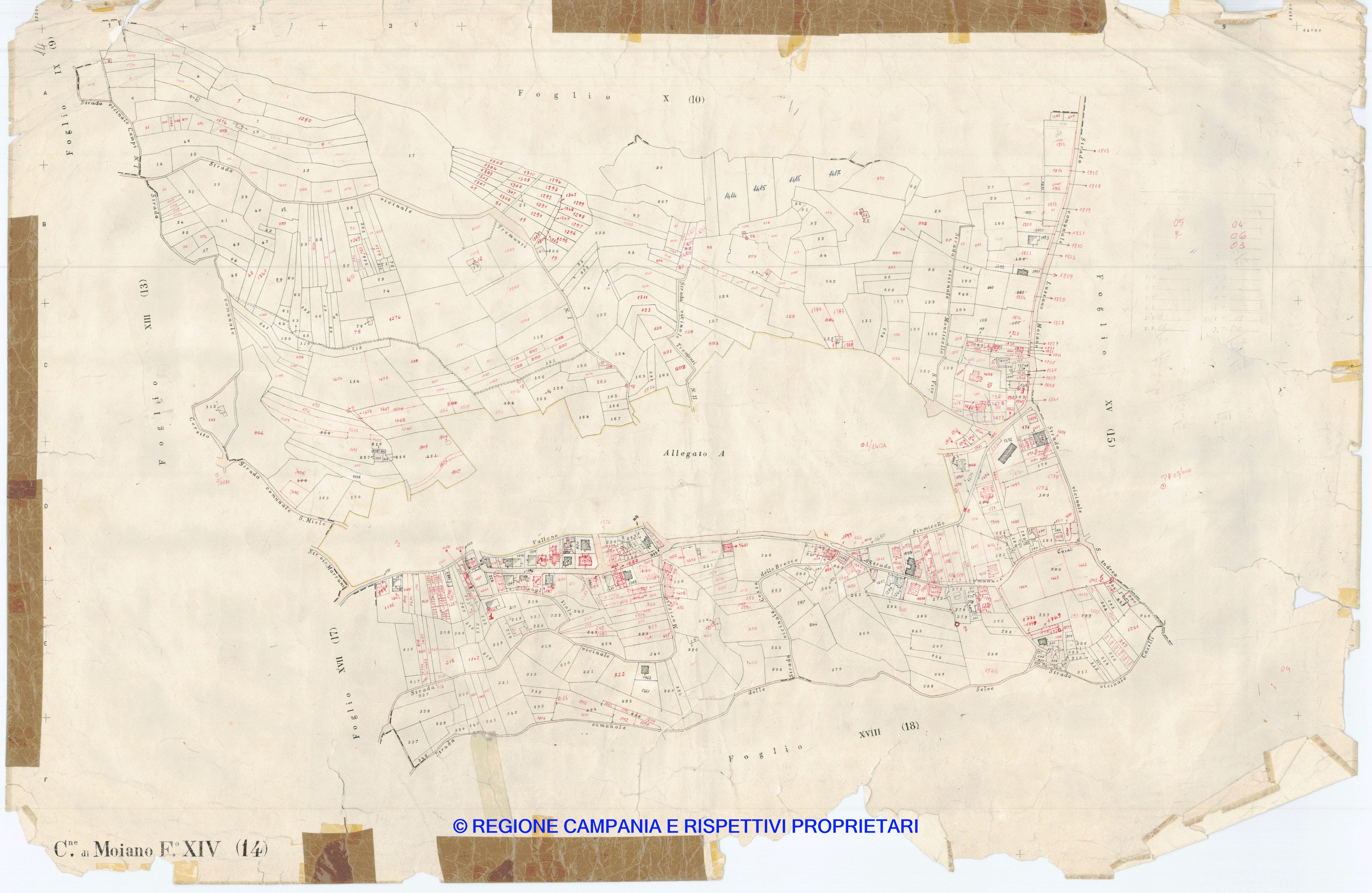Mappa