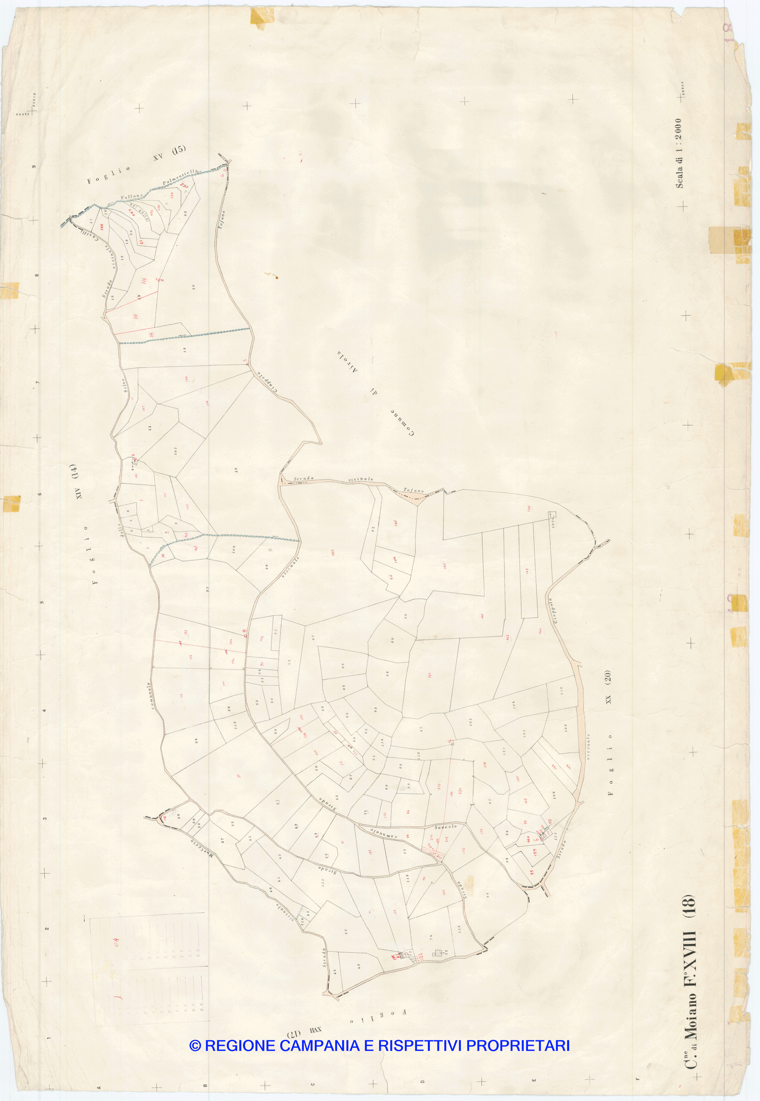 Mappa