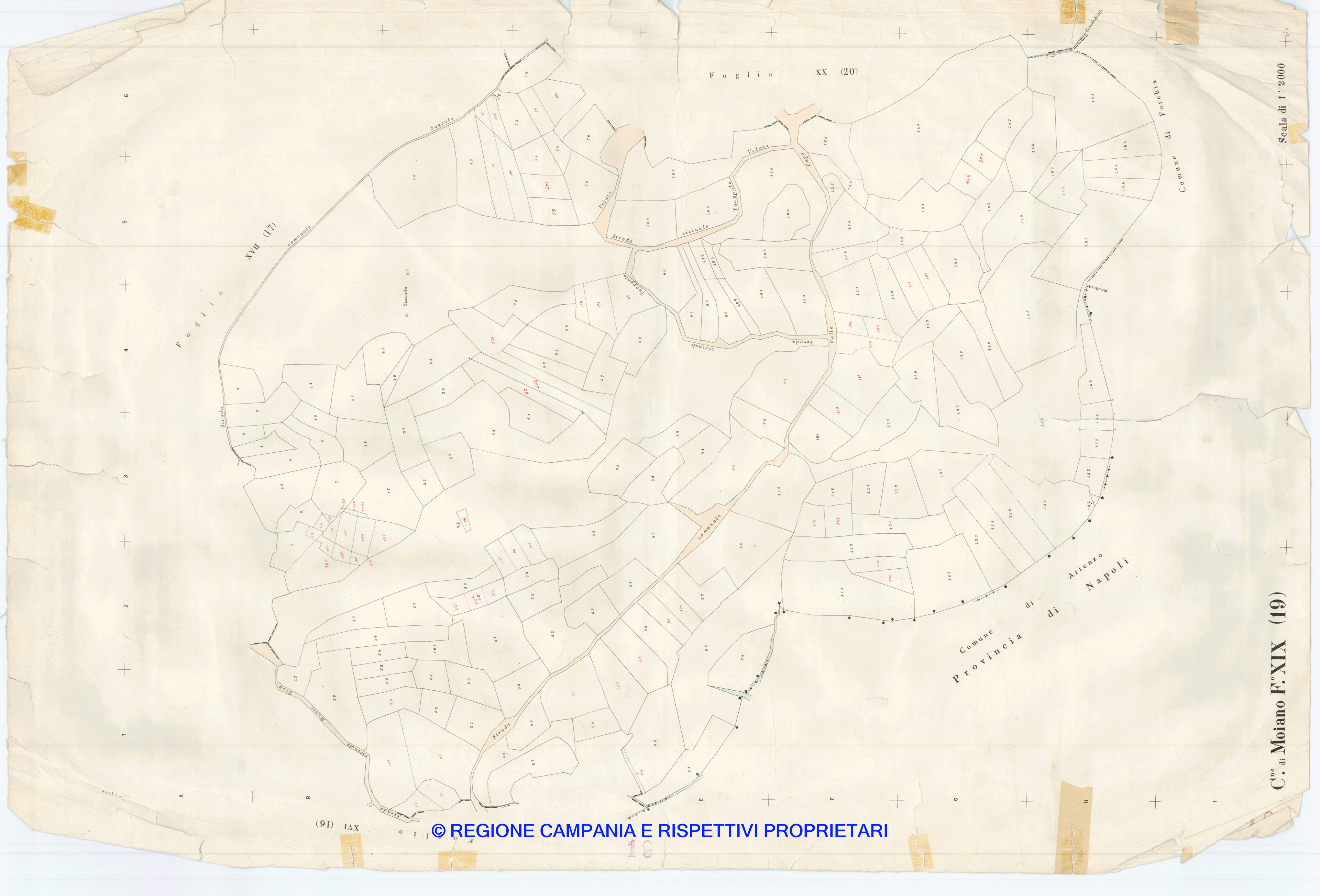 Mappa