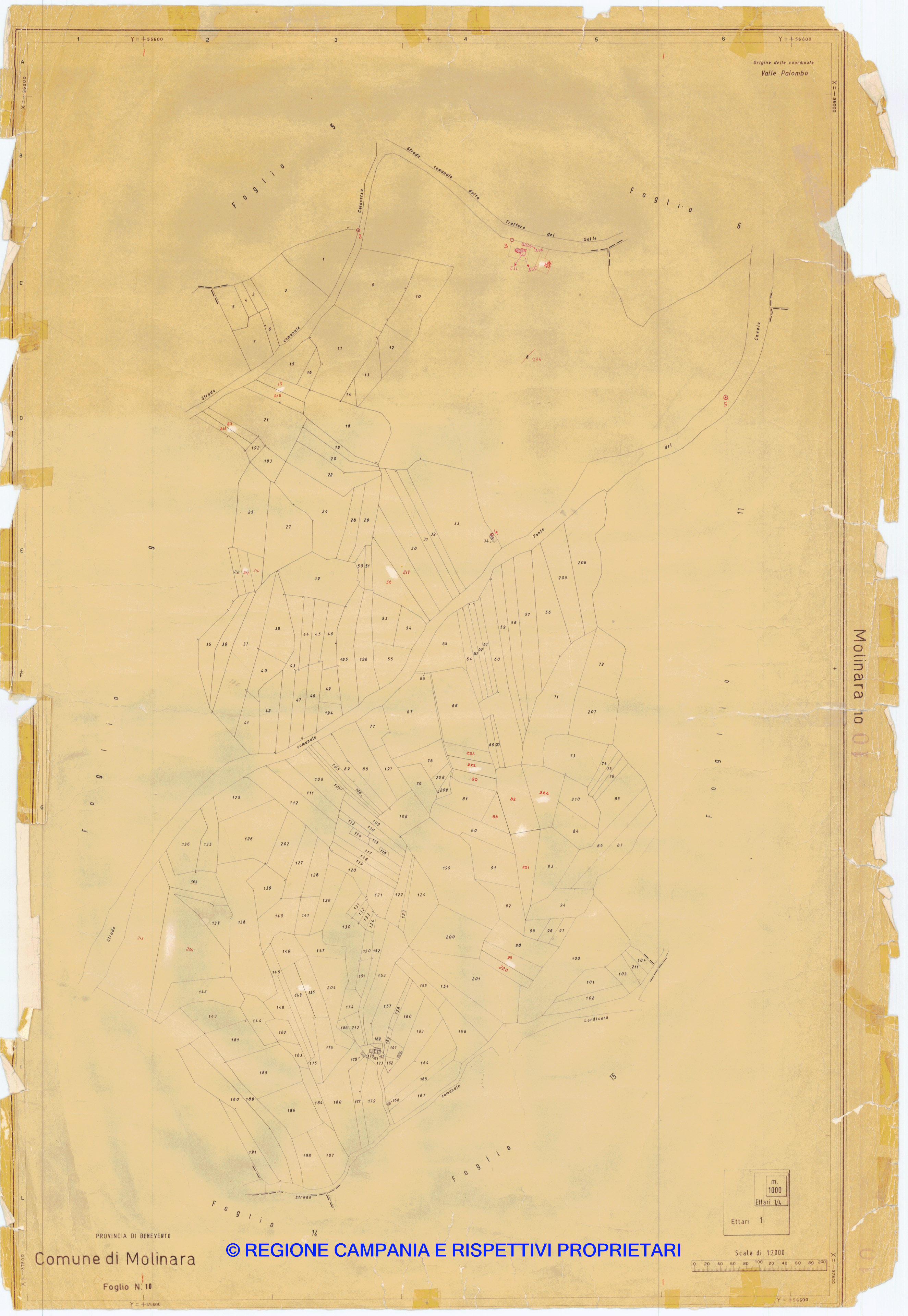 Mappa