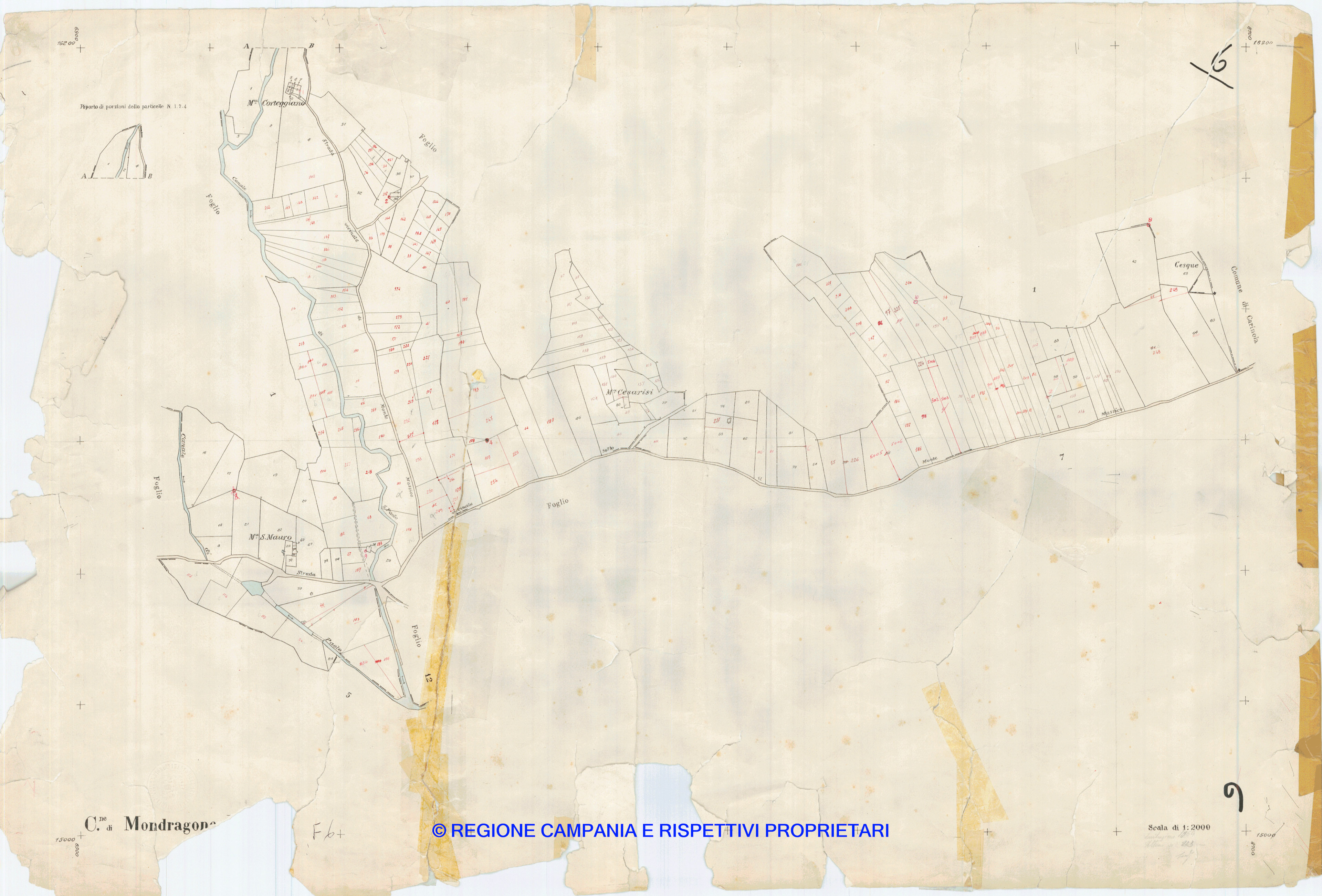Mappa