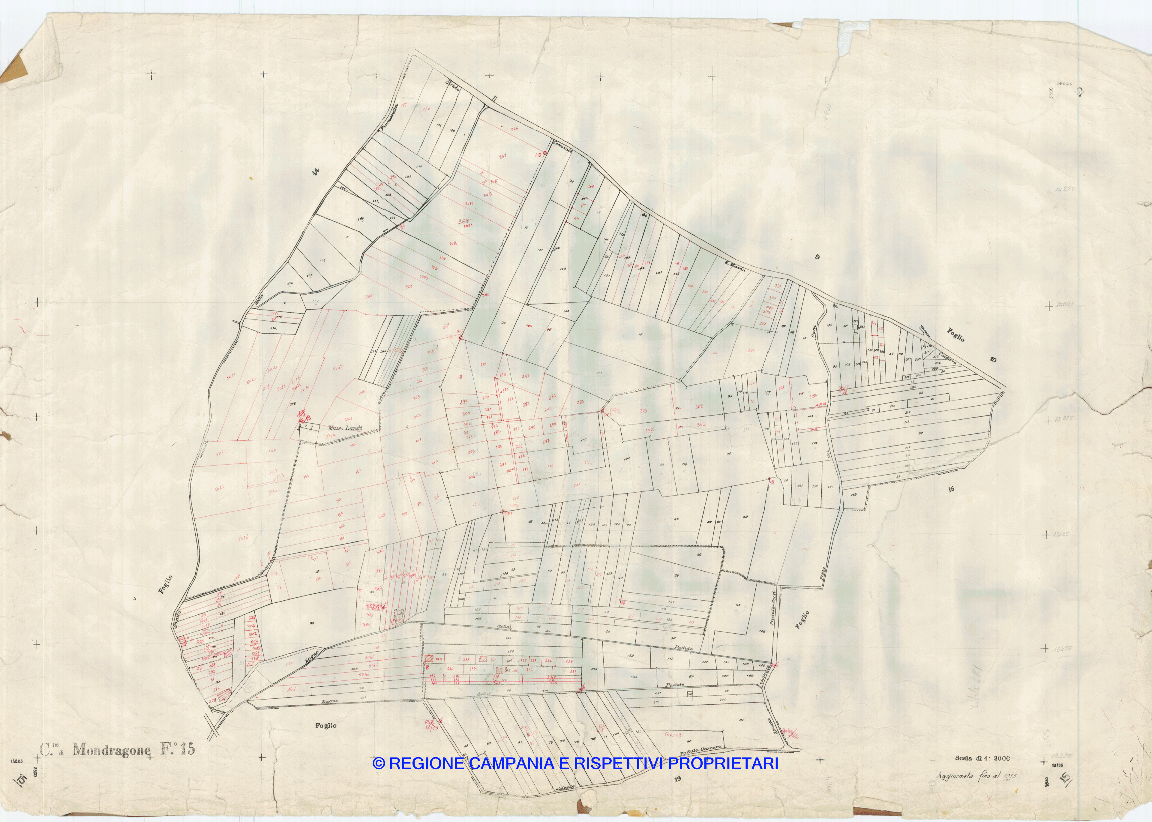 Mappa