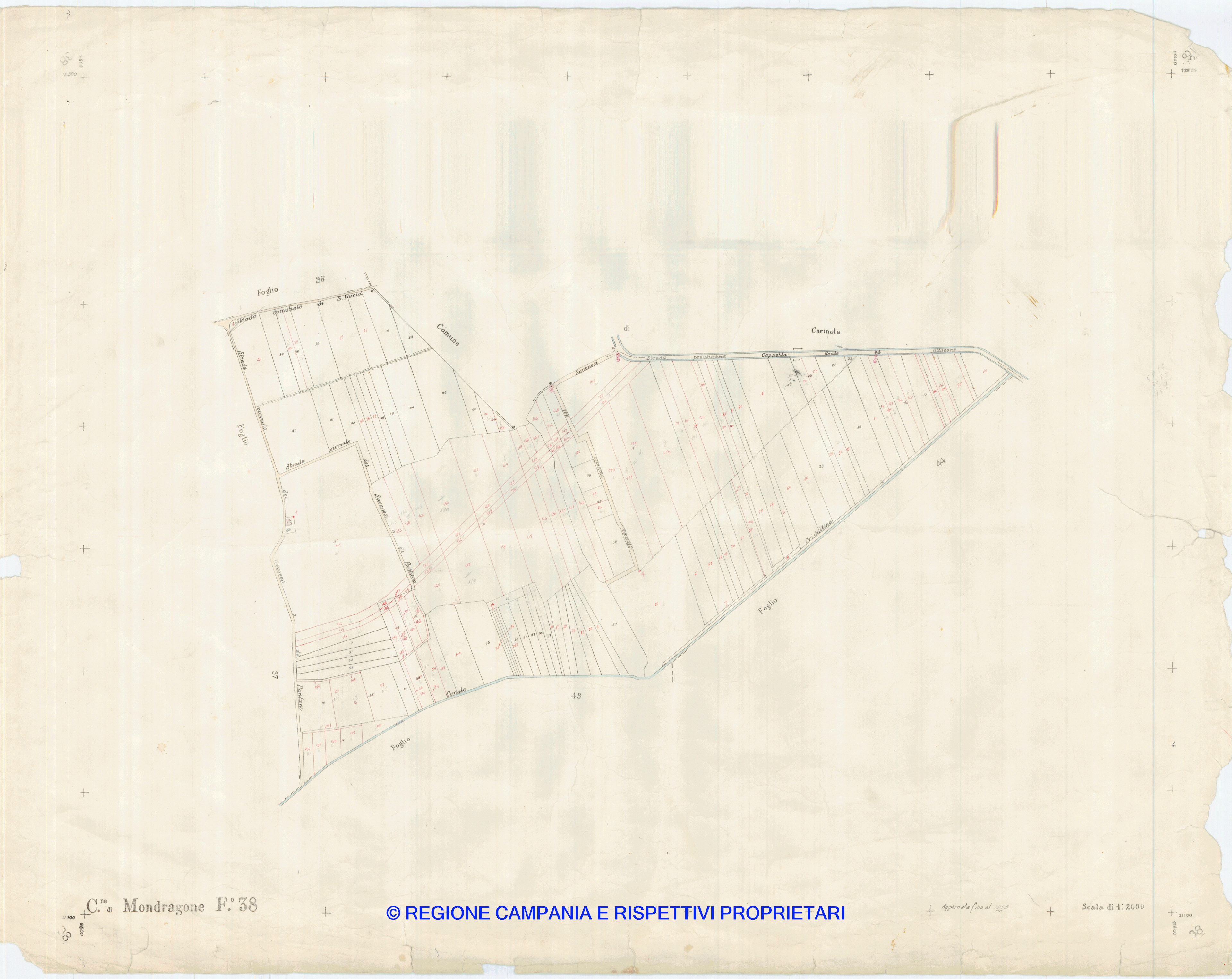 Mappa