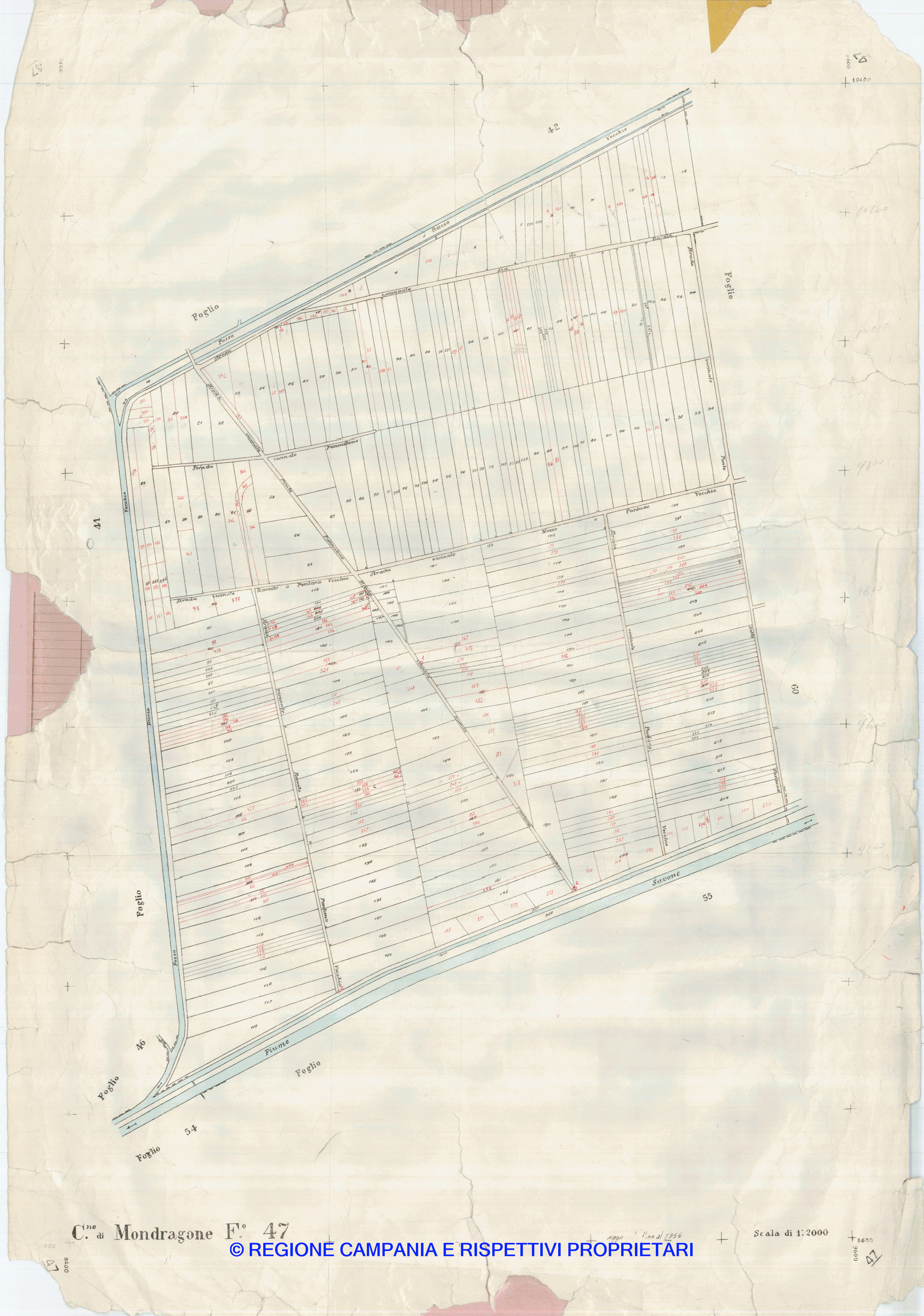 Mappa