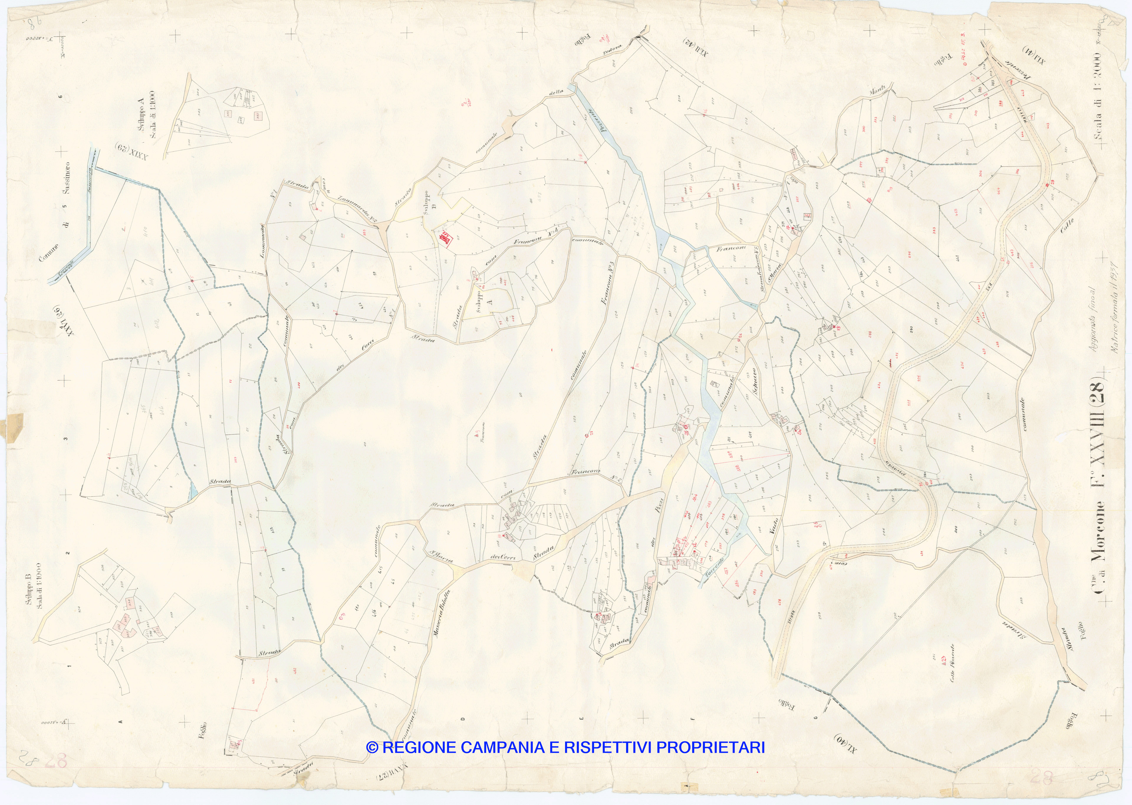 Mappa Mappa
