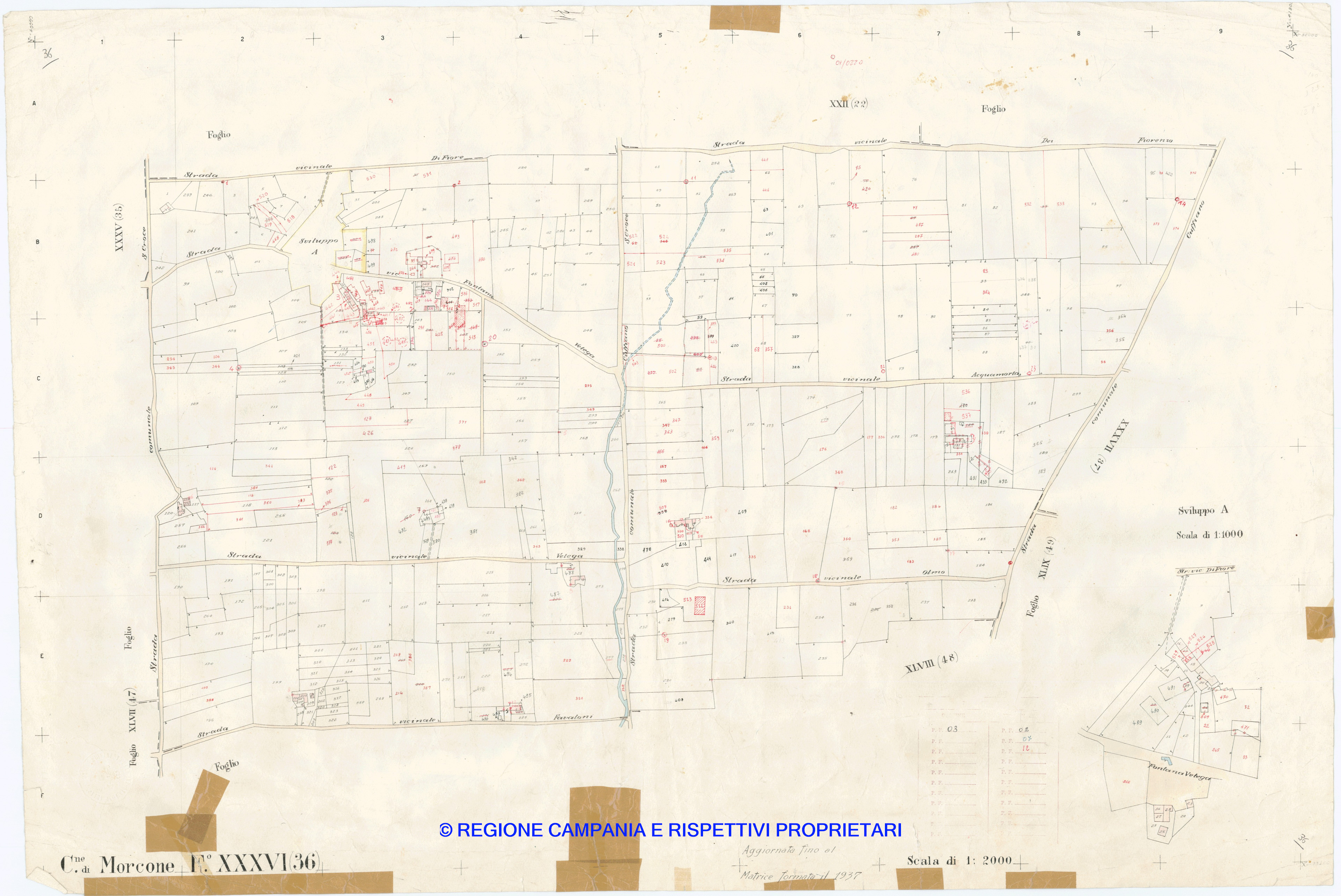 Mappa