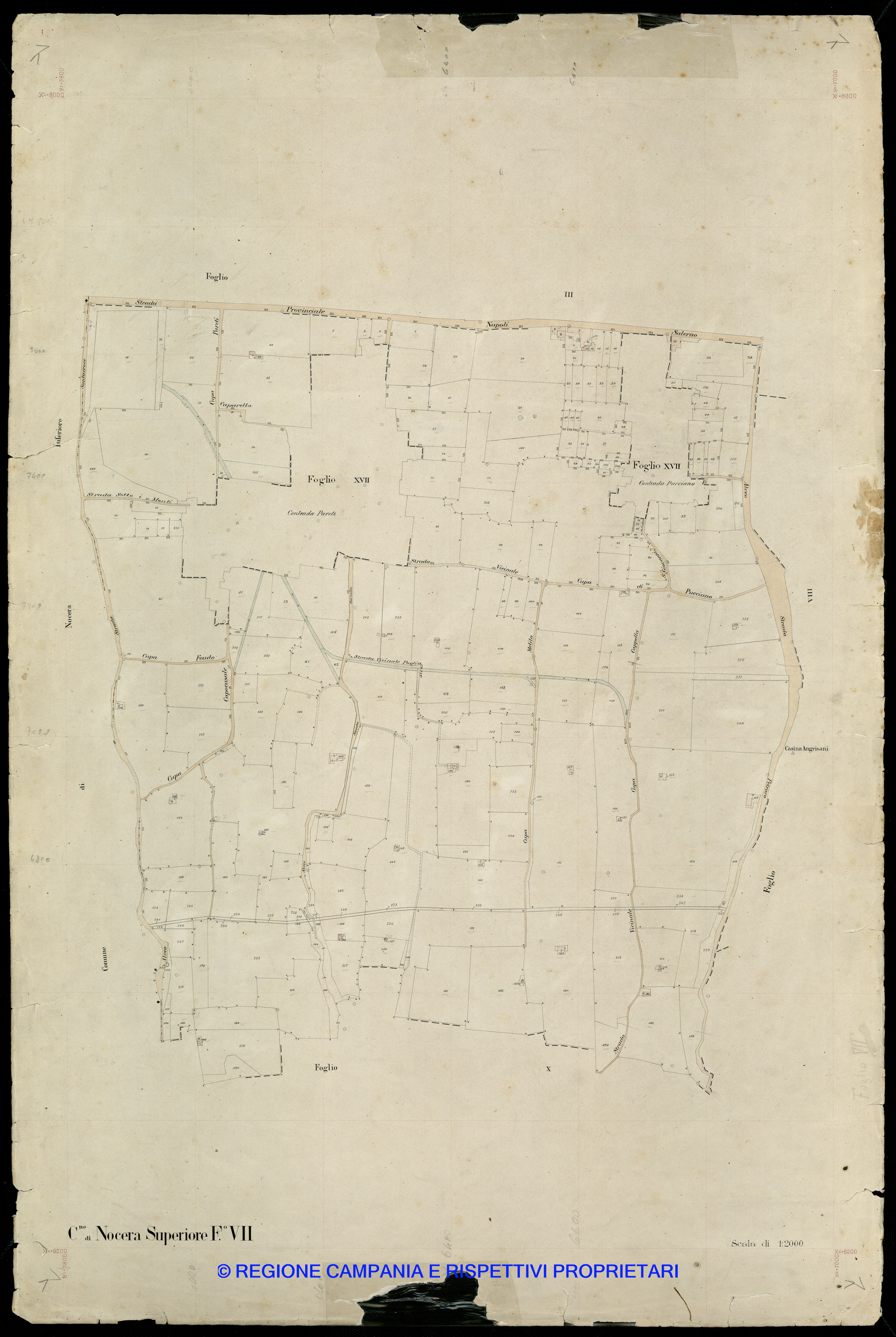 Mappa