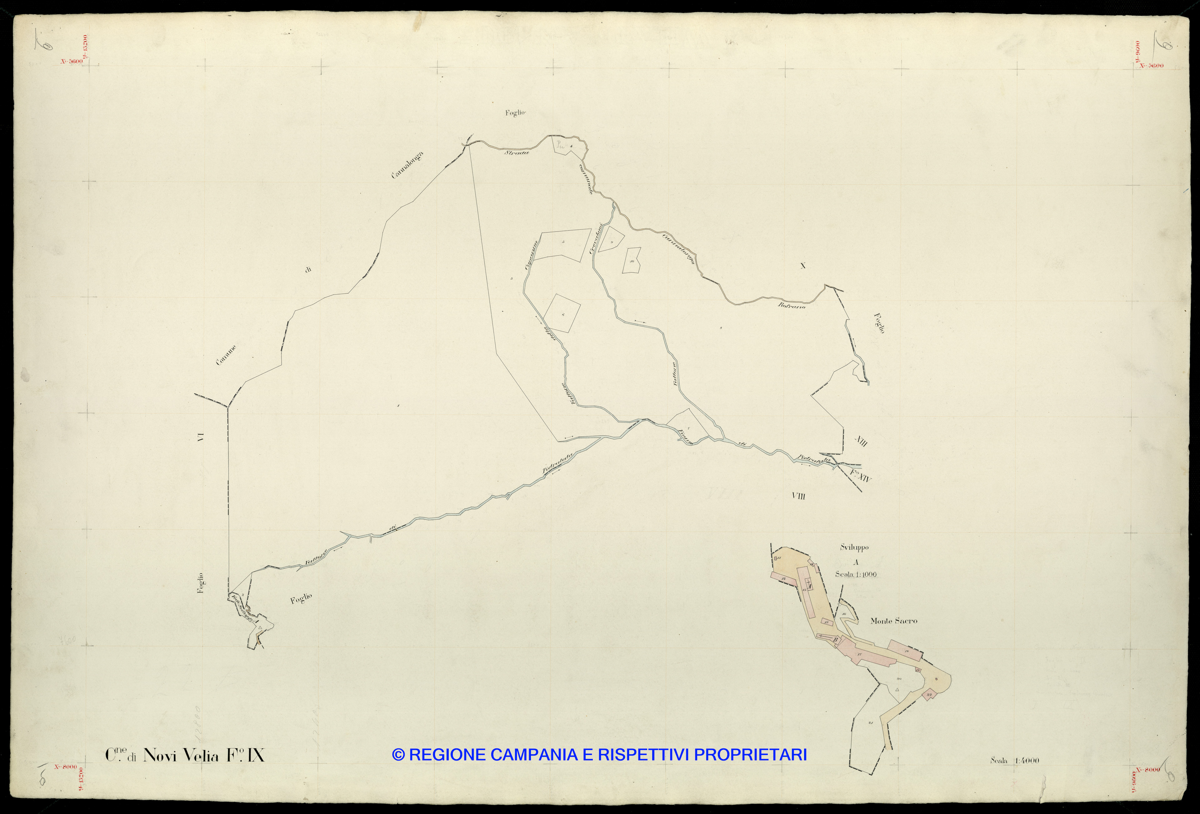 Mappa
