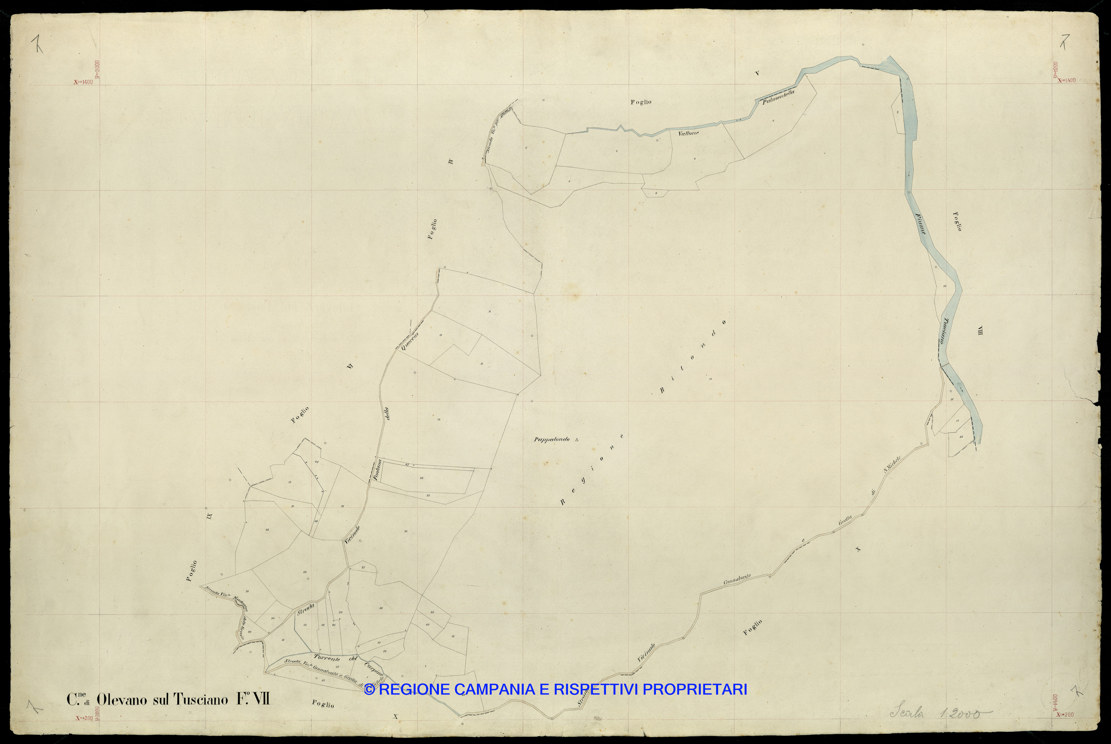 Mappa