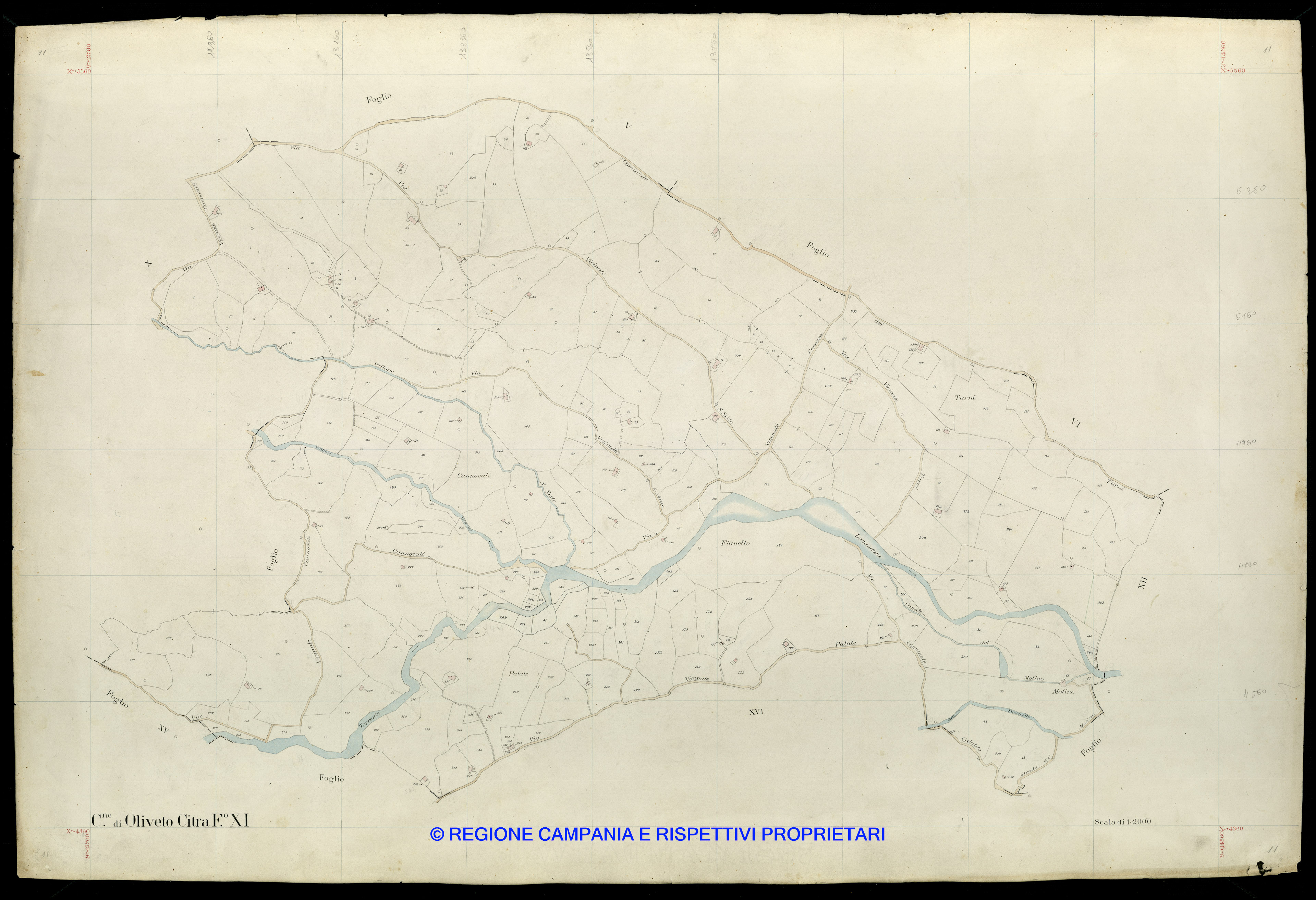 Mappa