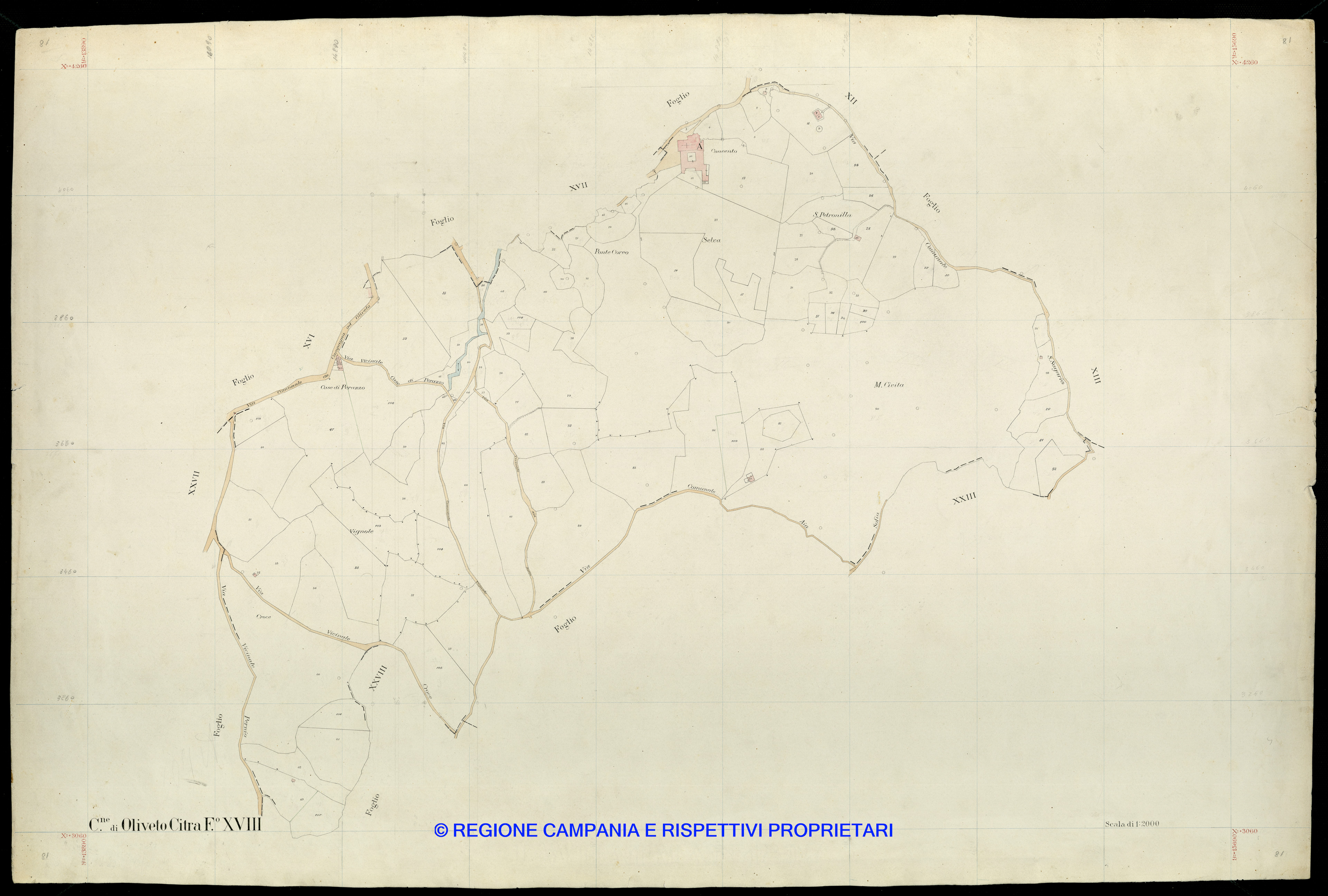 Mappa