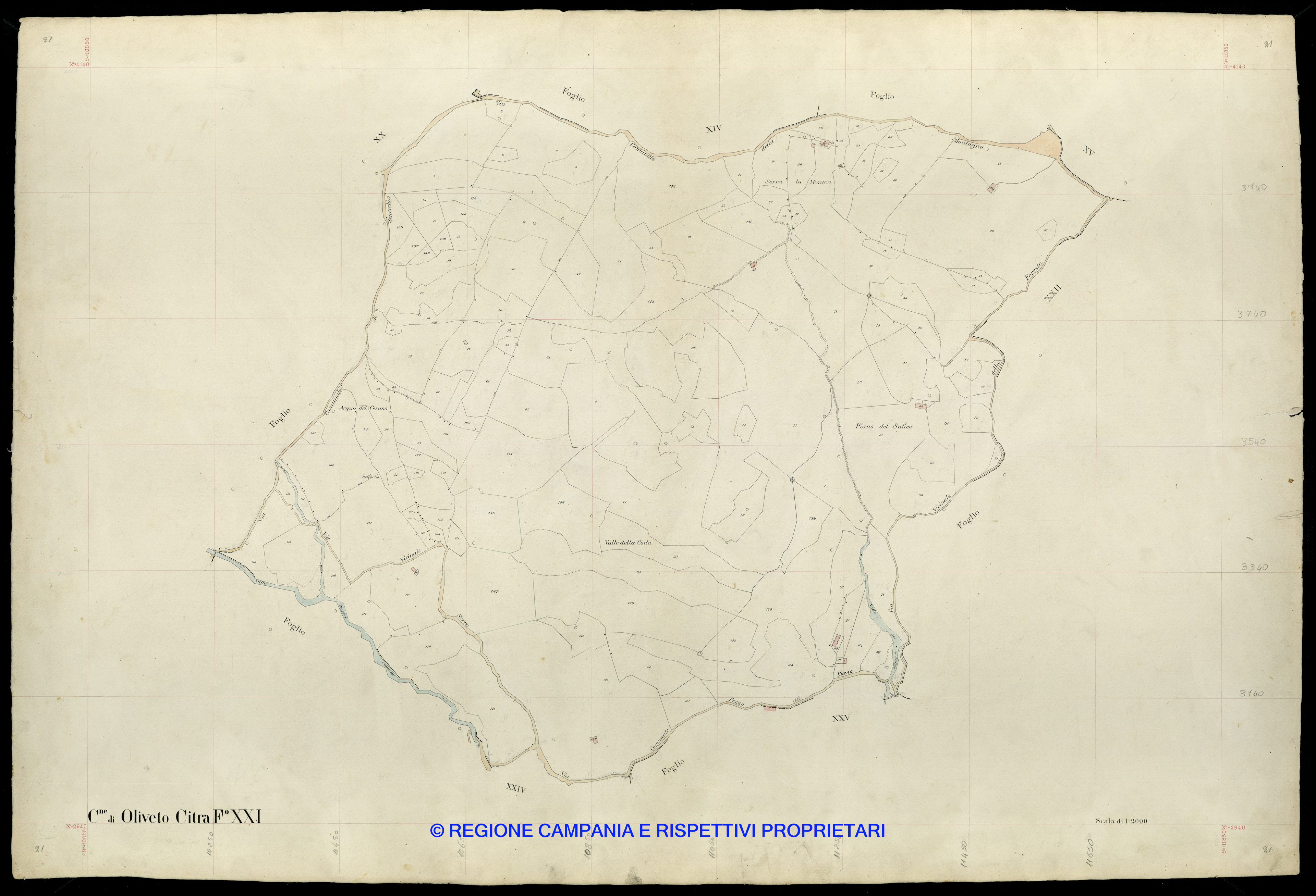 Mappa