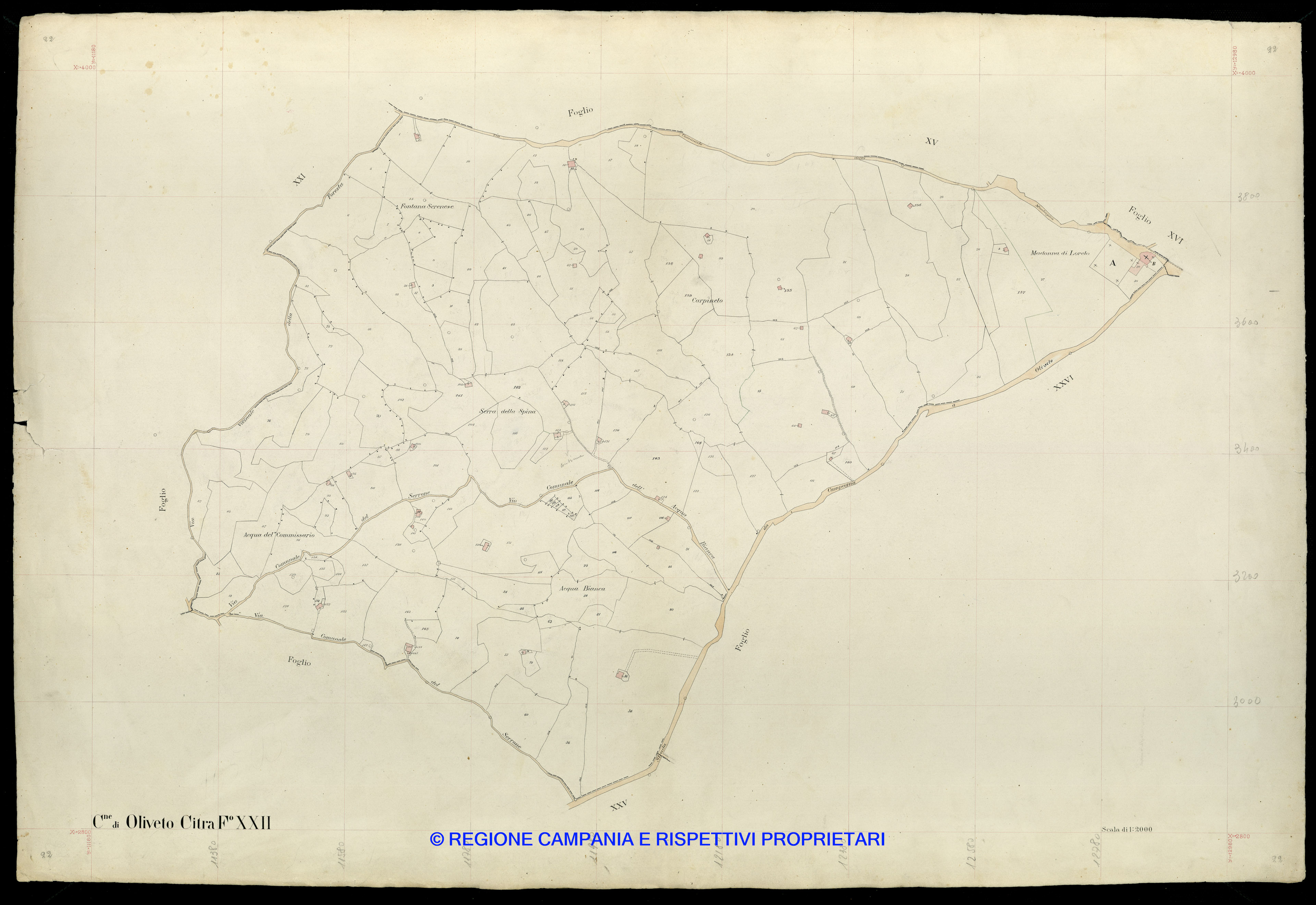 Mappa