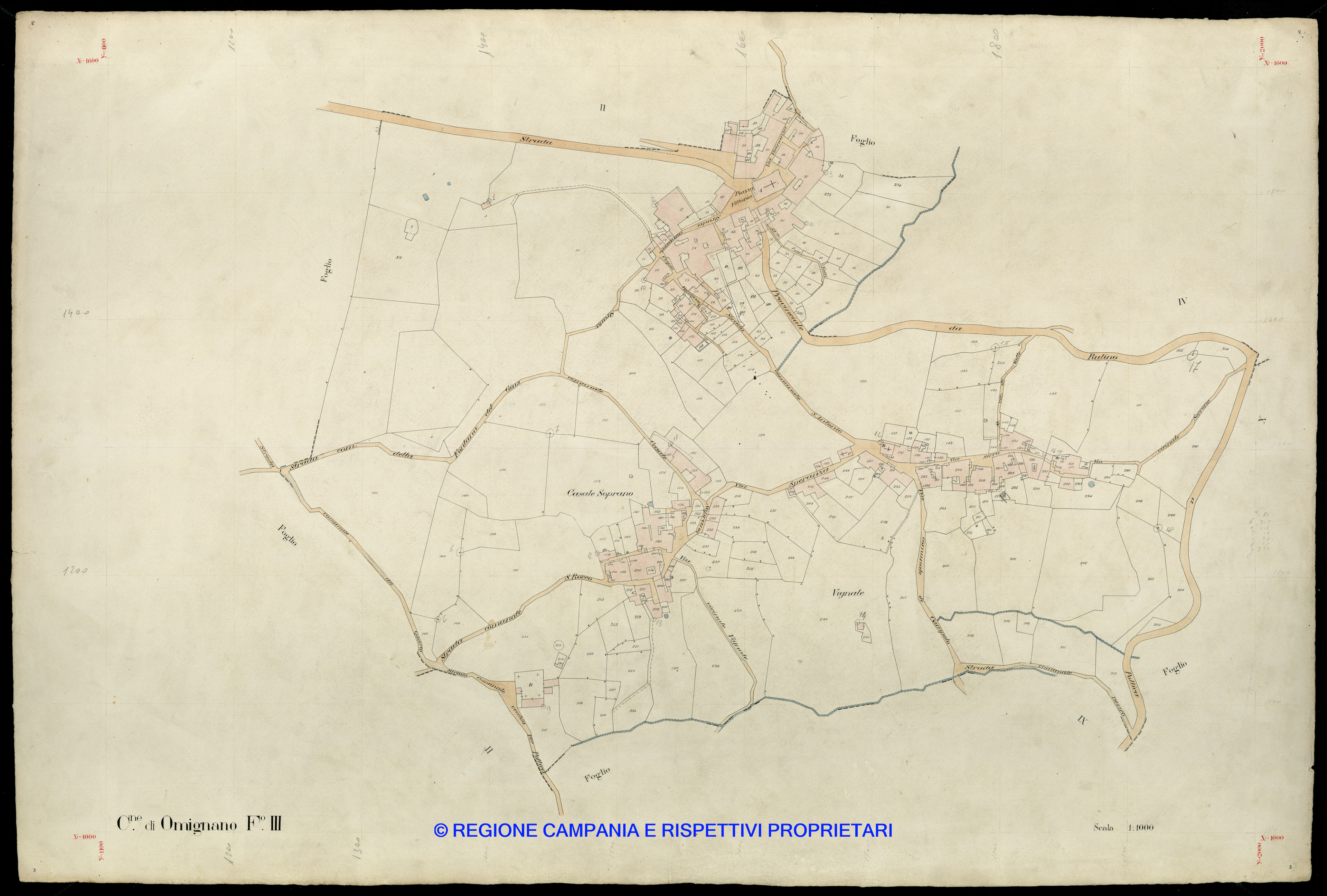 Mappa