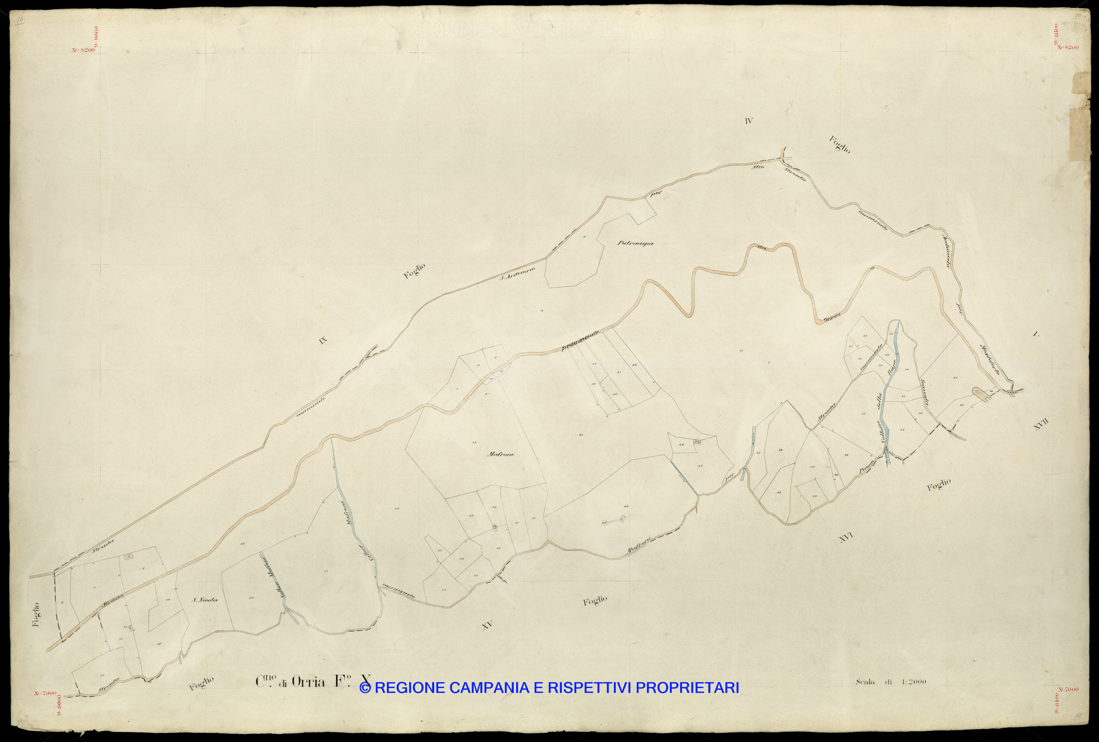 Mappa