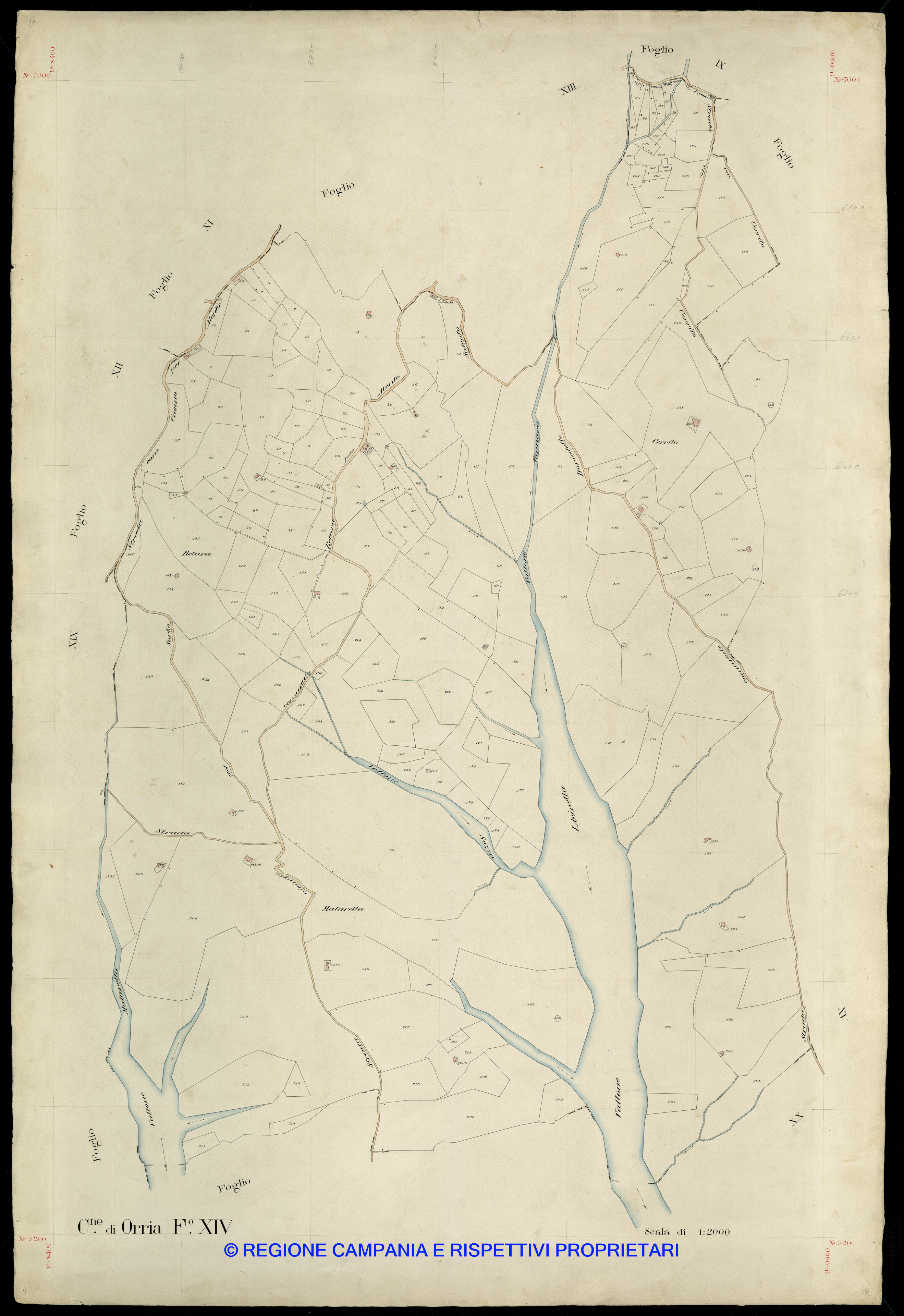 Mappa