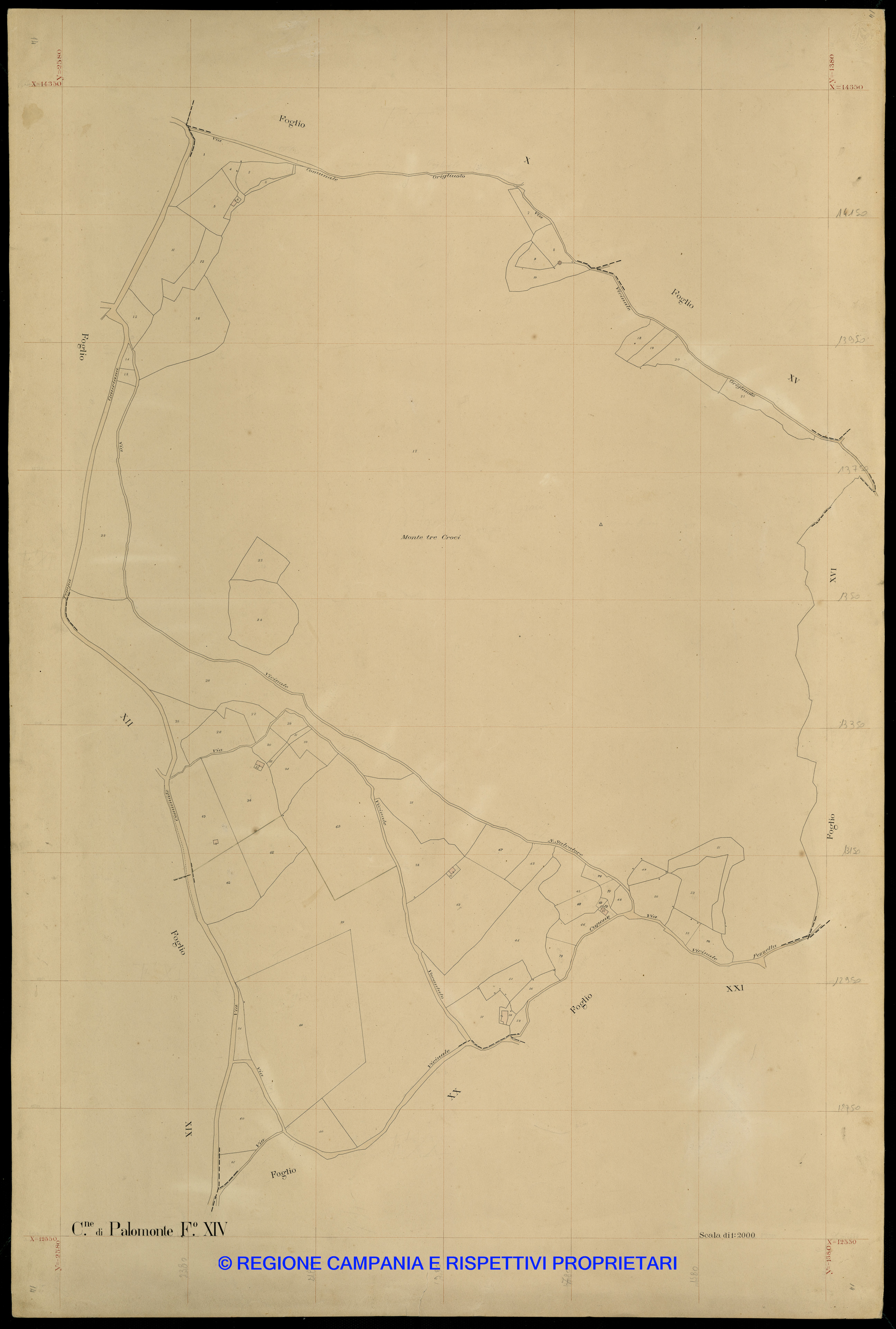 Mappa