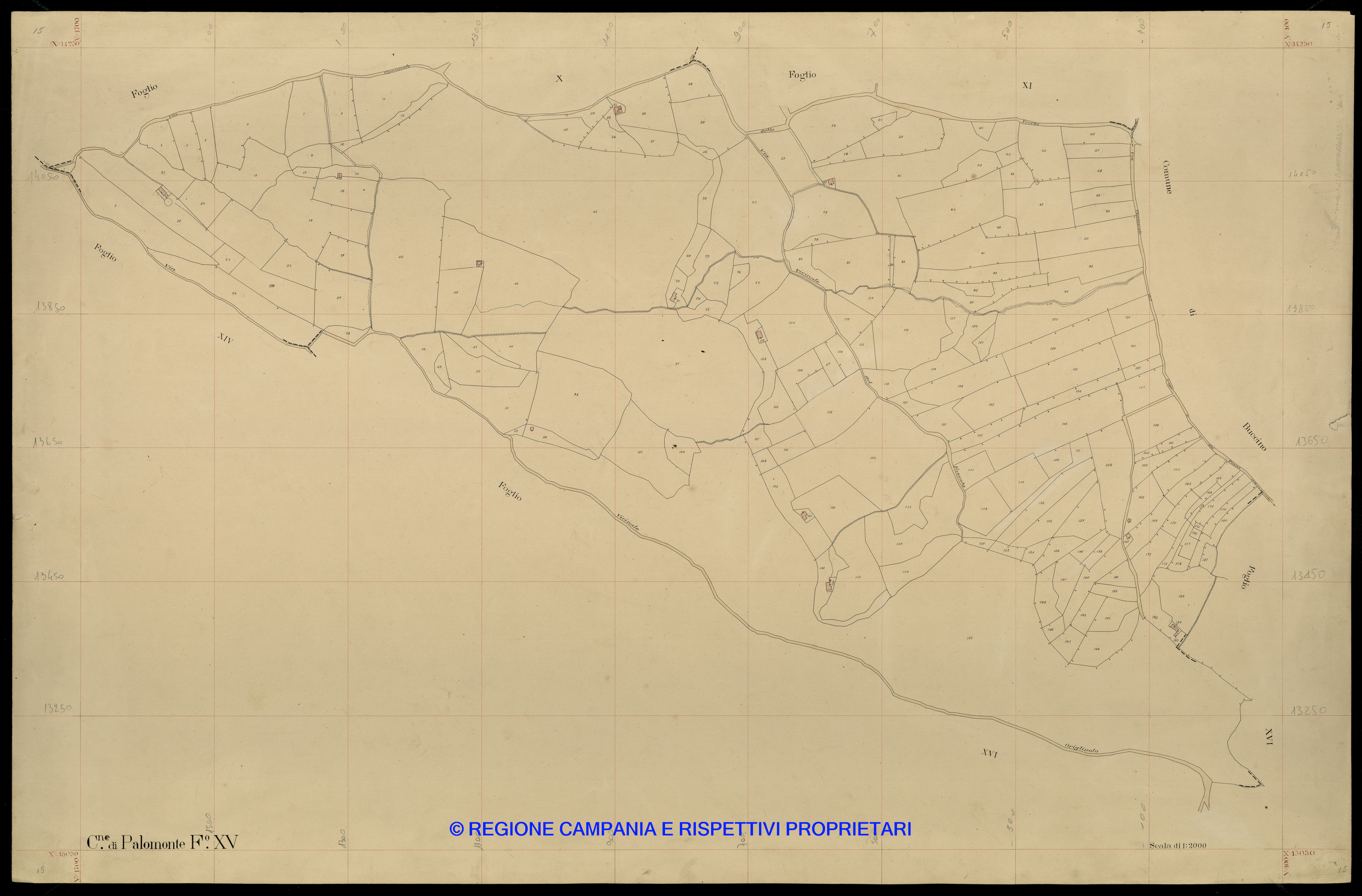 Mappa