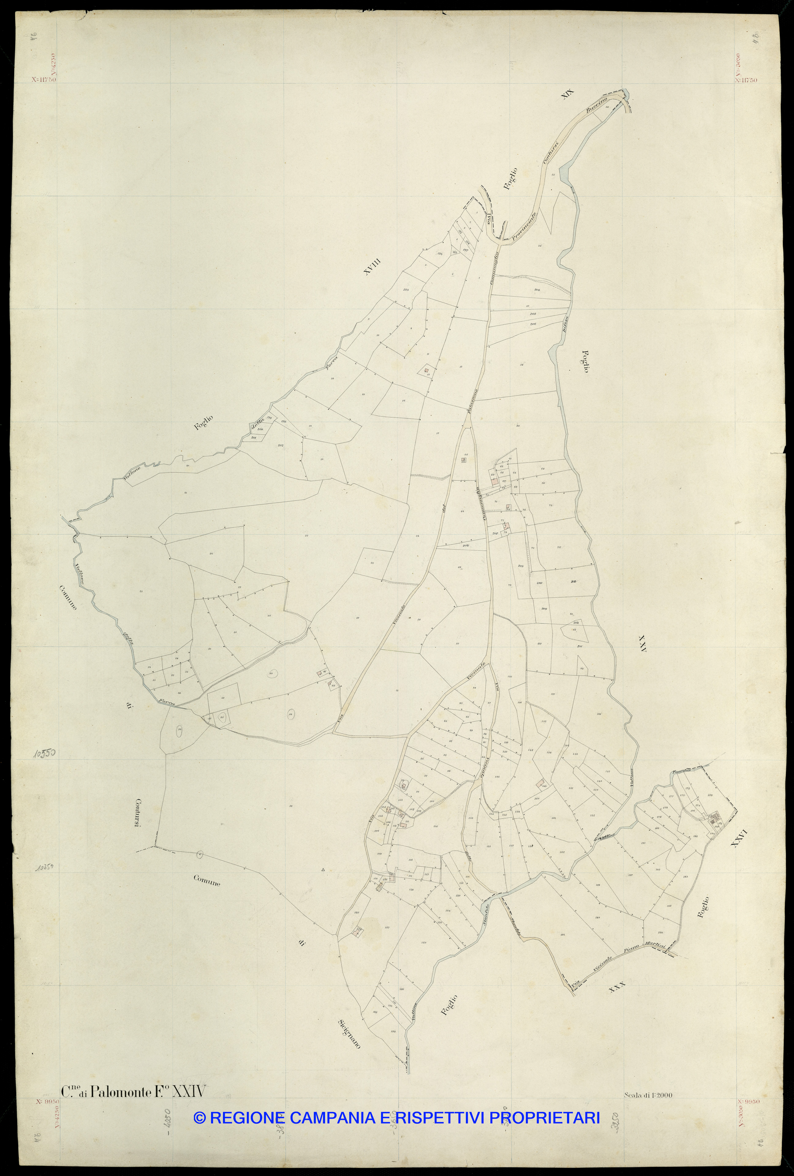 Mappa