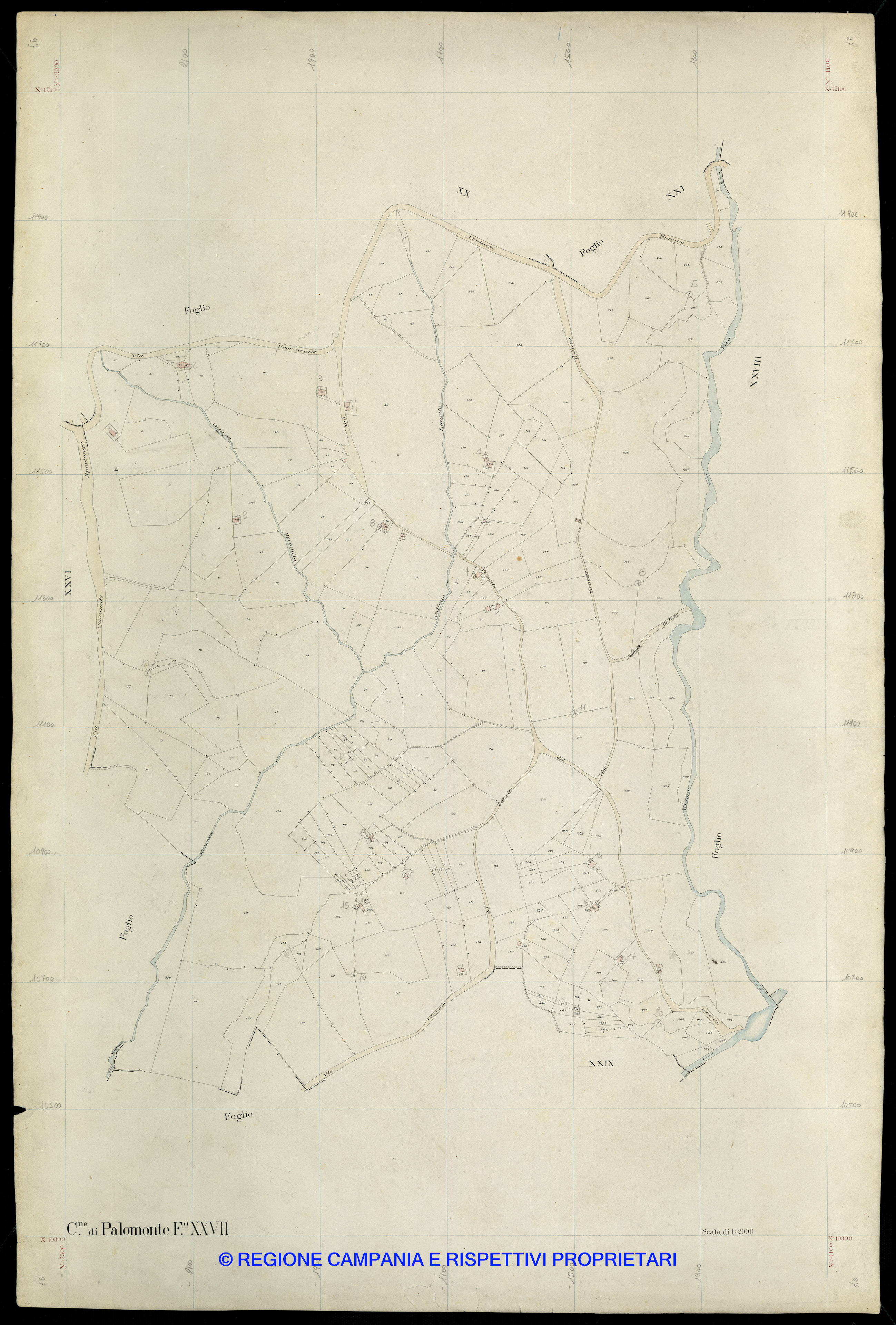 Mappa