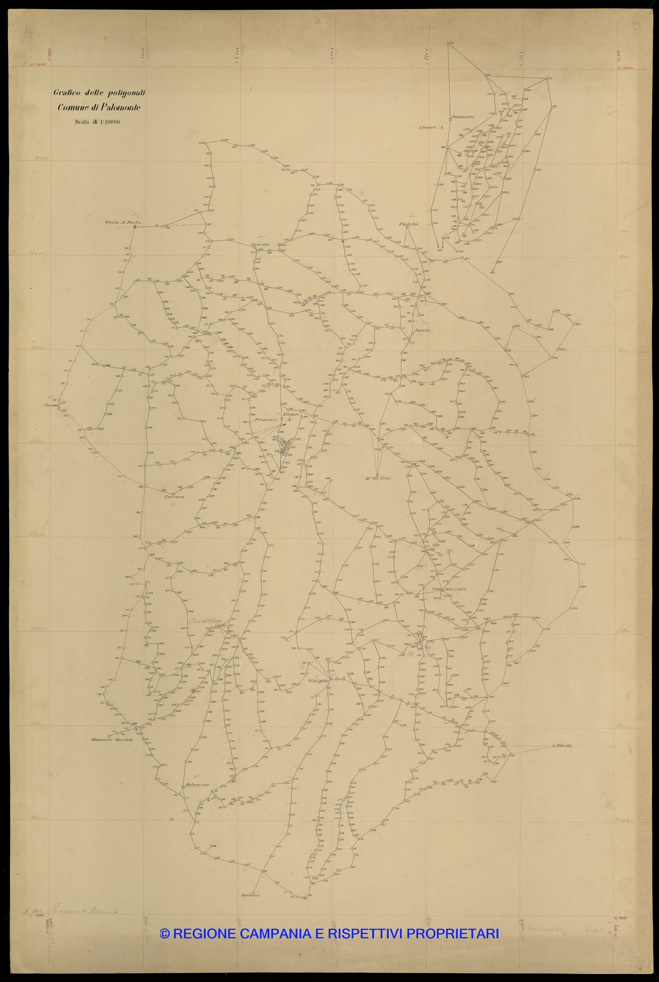 Grafico delle Poligonali