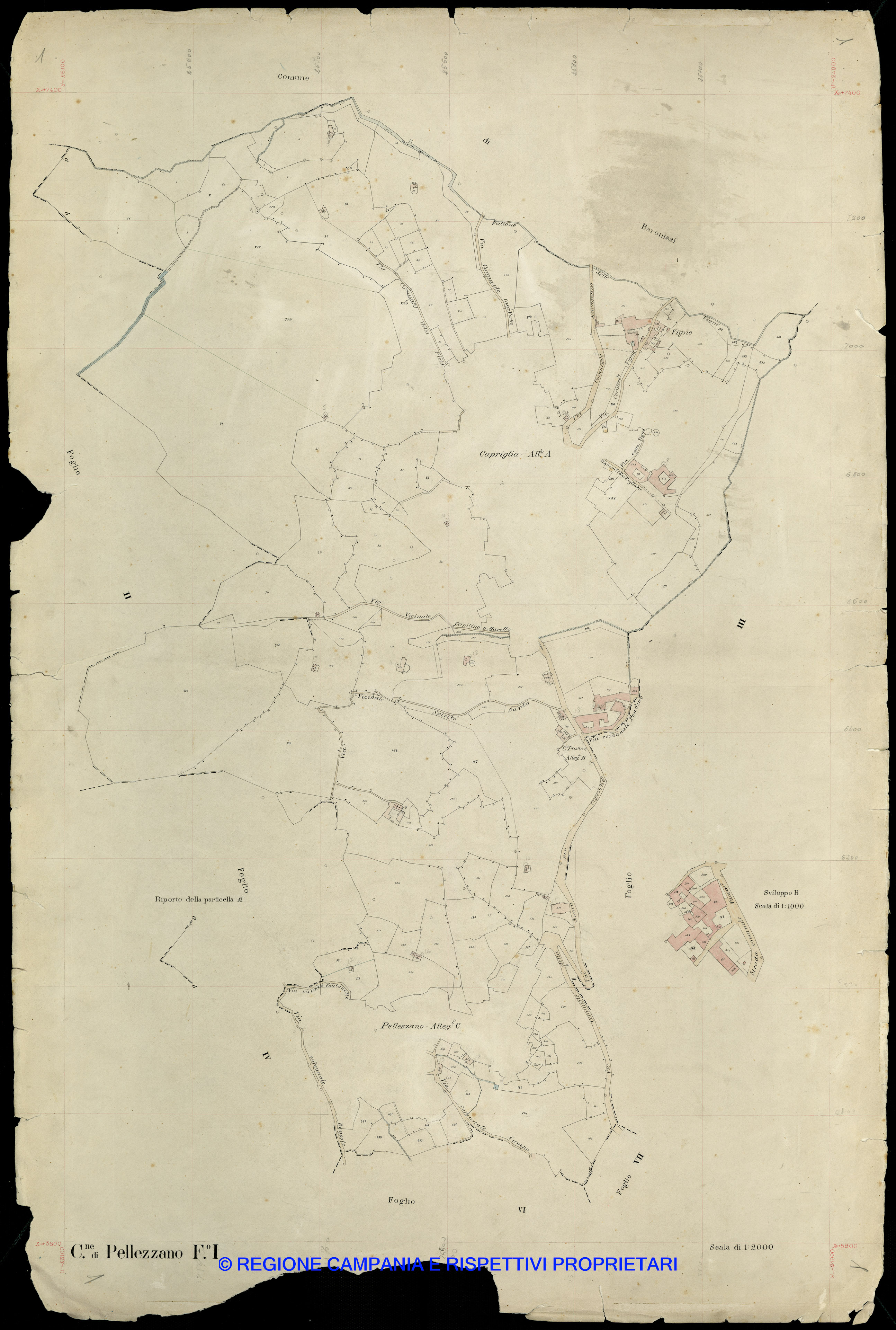 Mappa