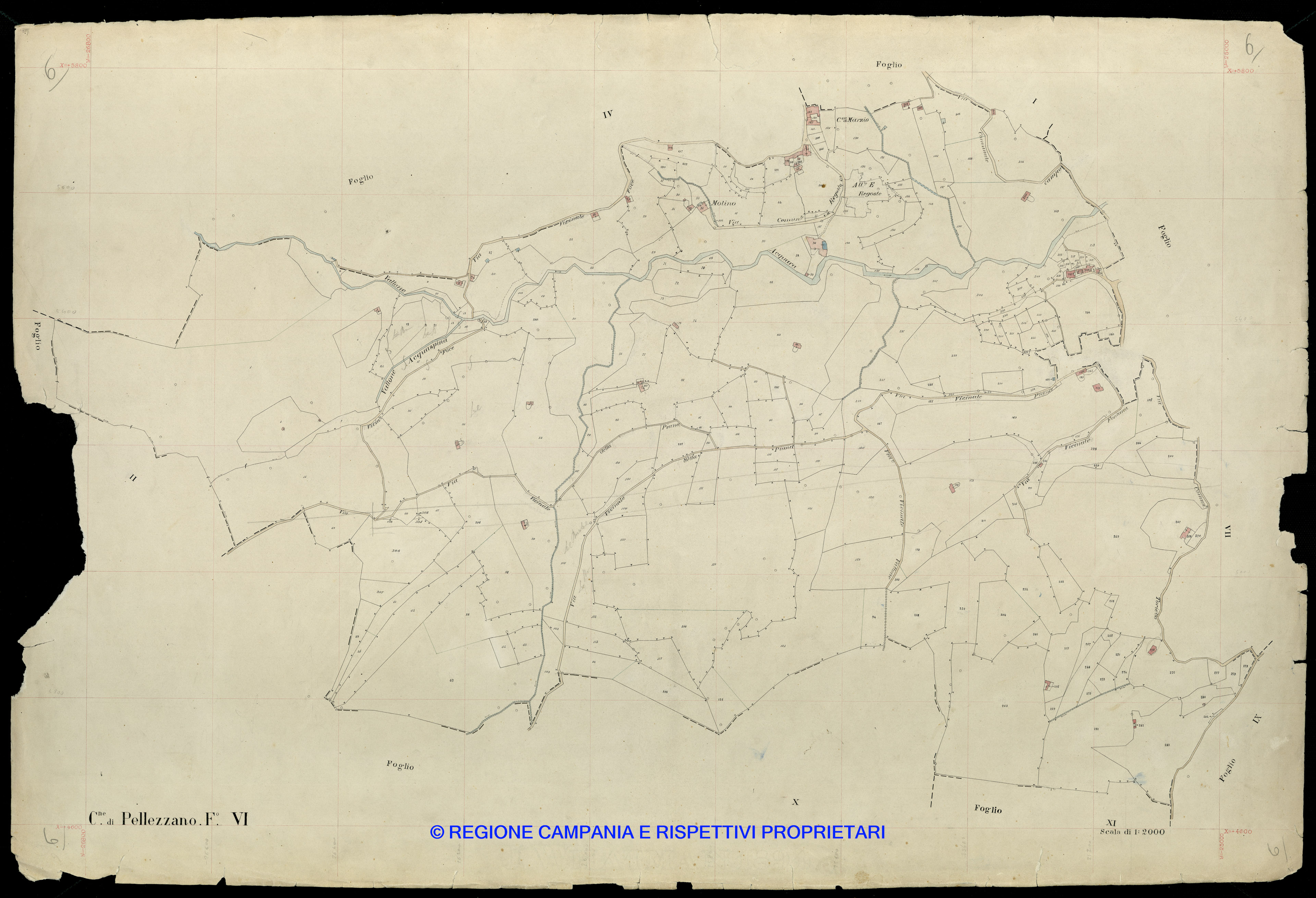 Mappa