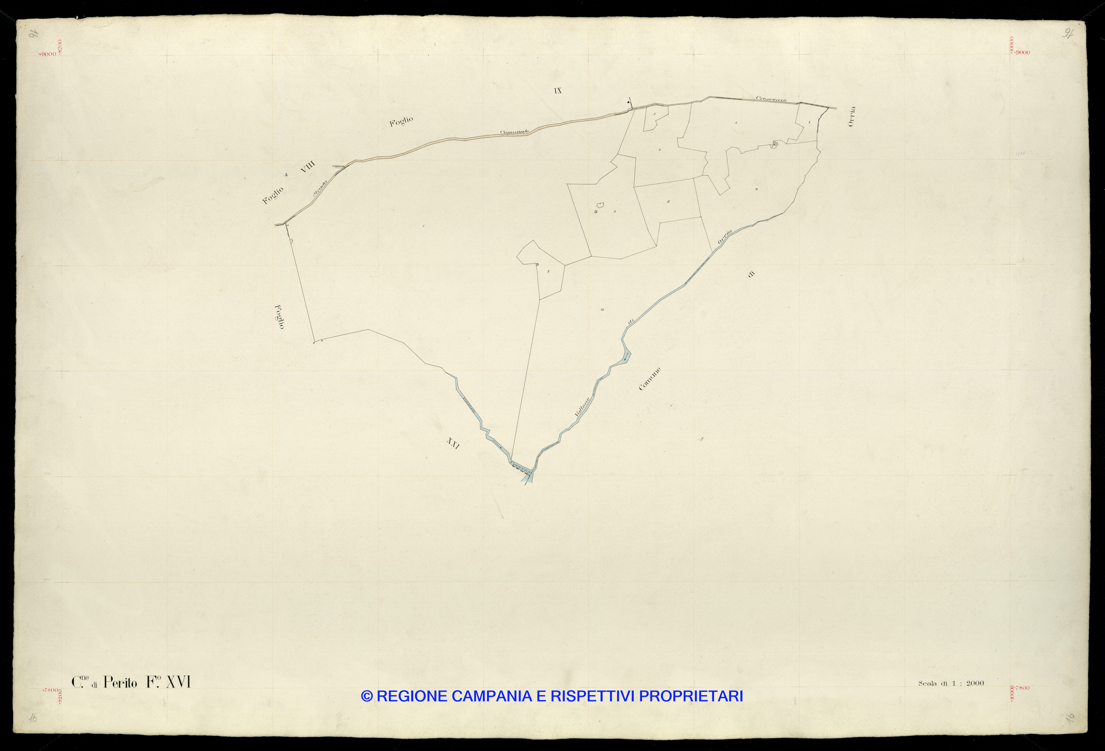 Mappa