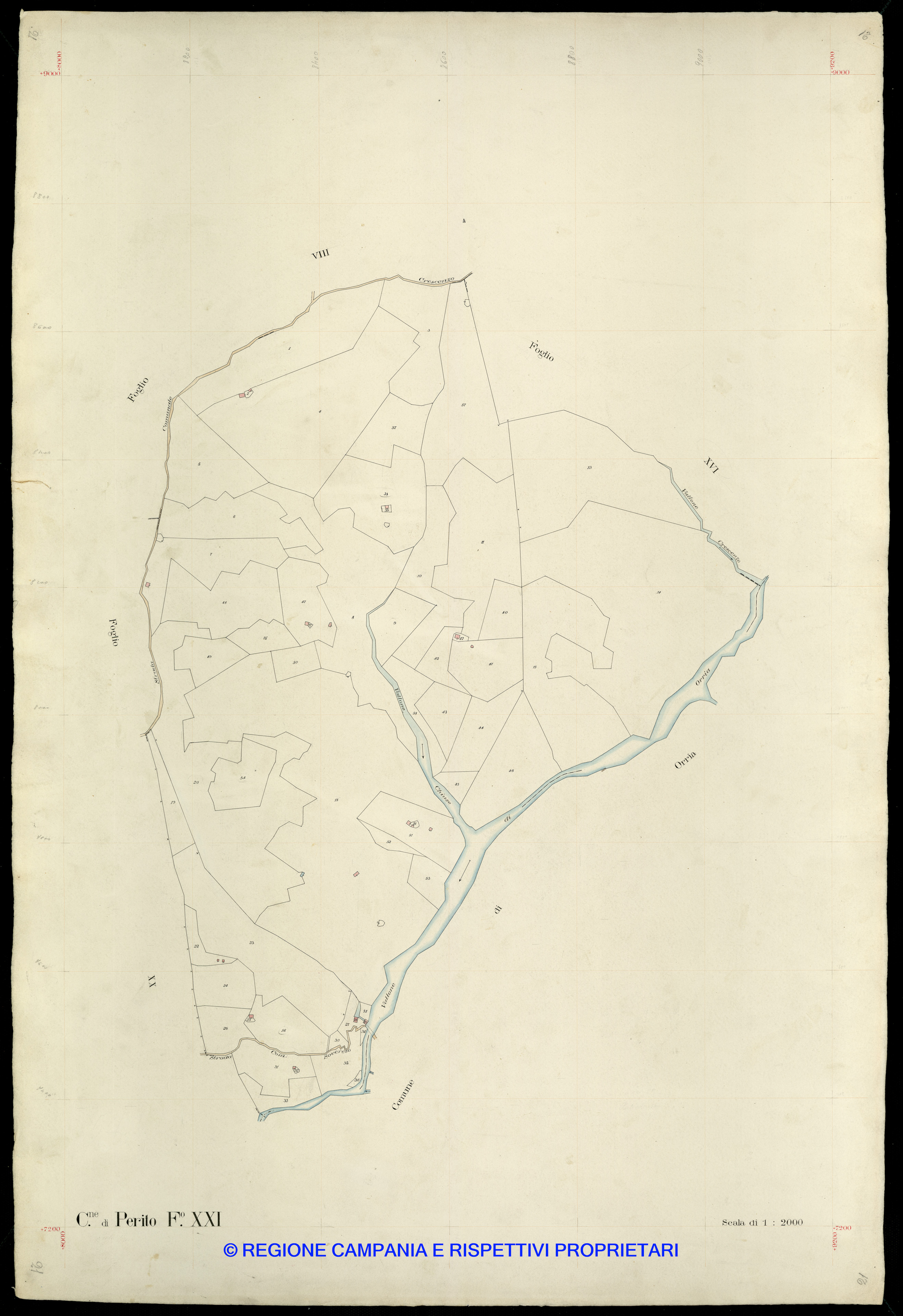 Mappa