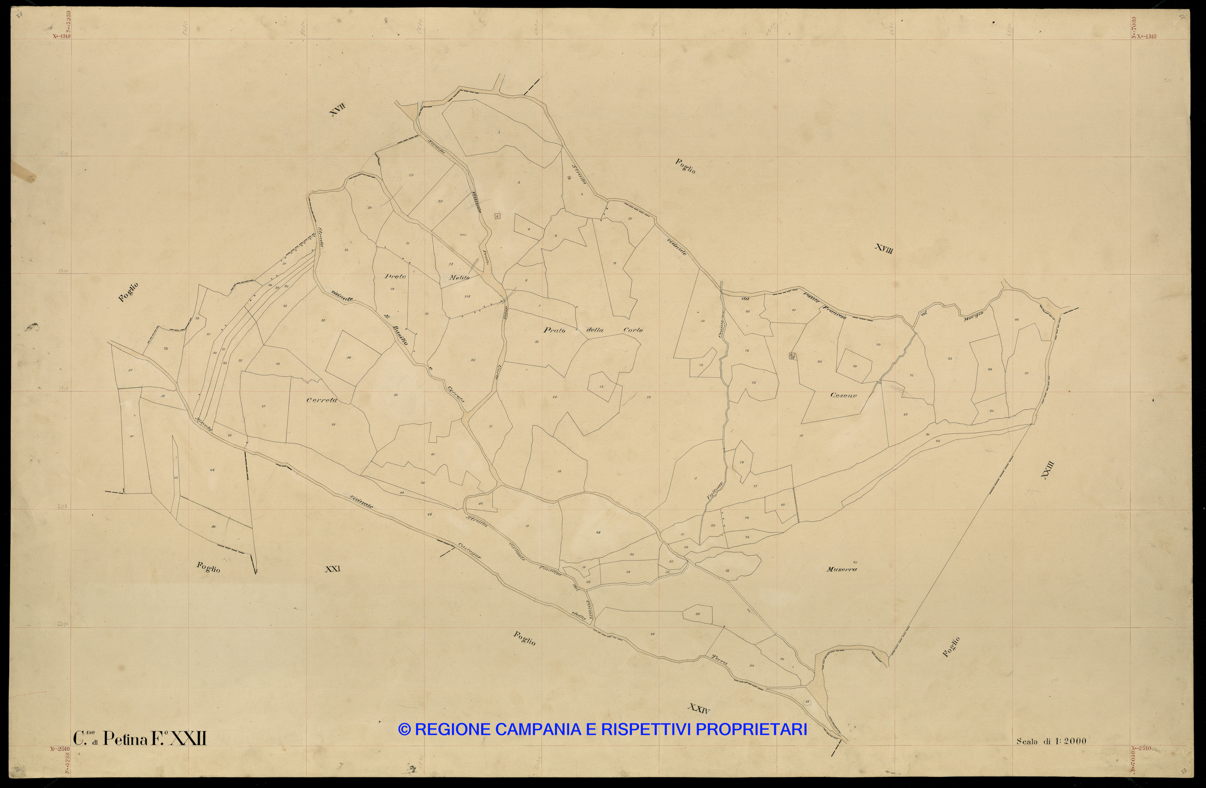 Mappa