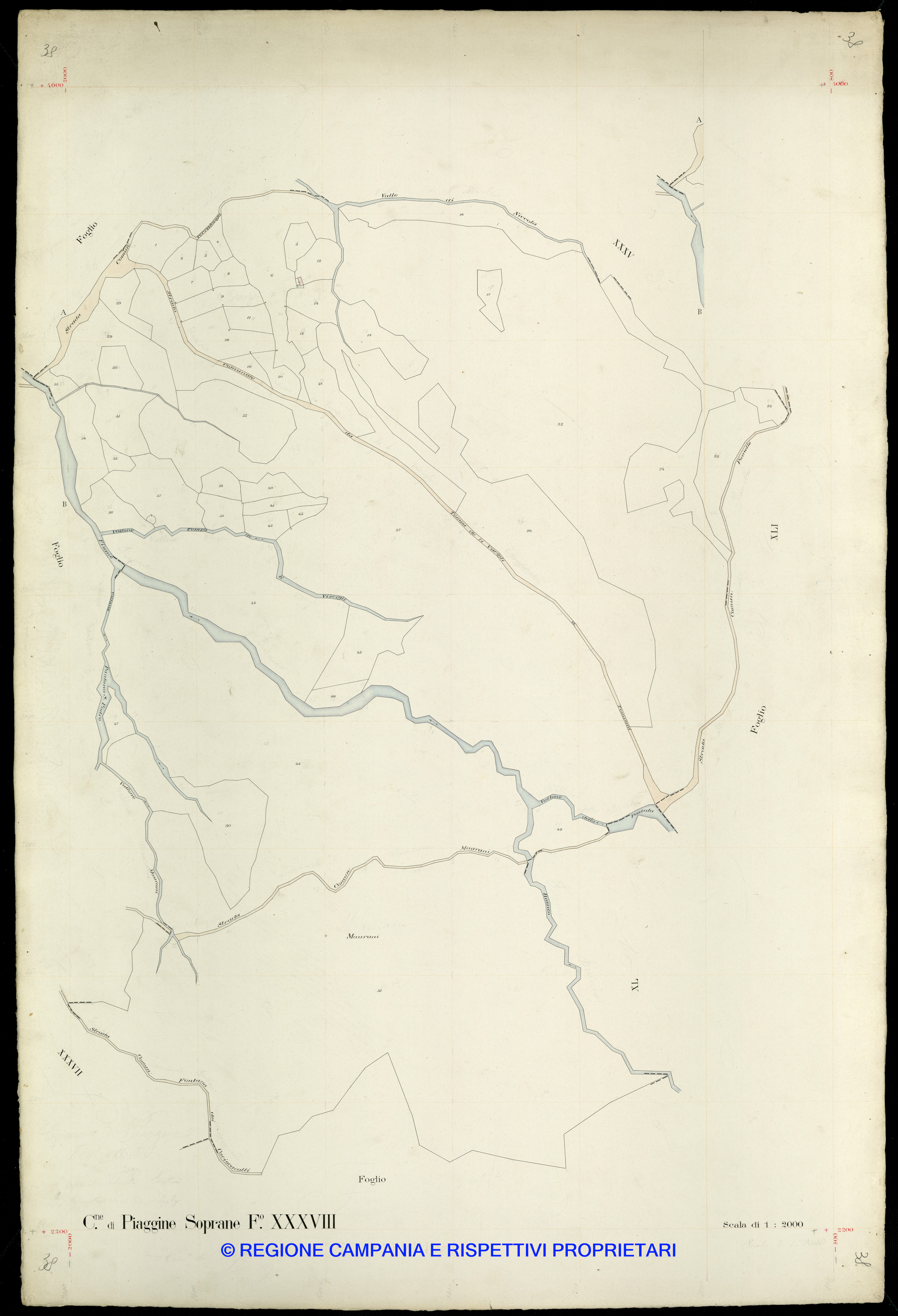 Mappa