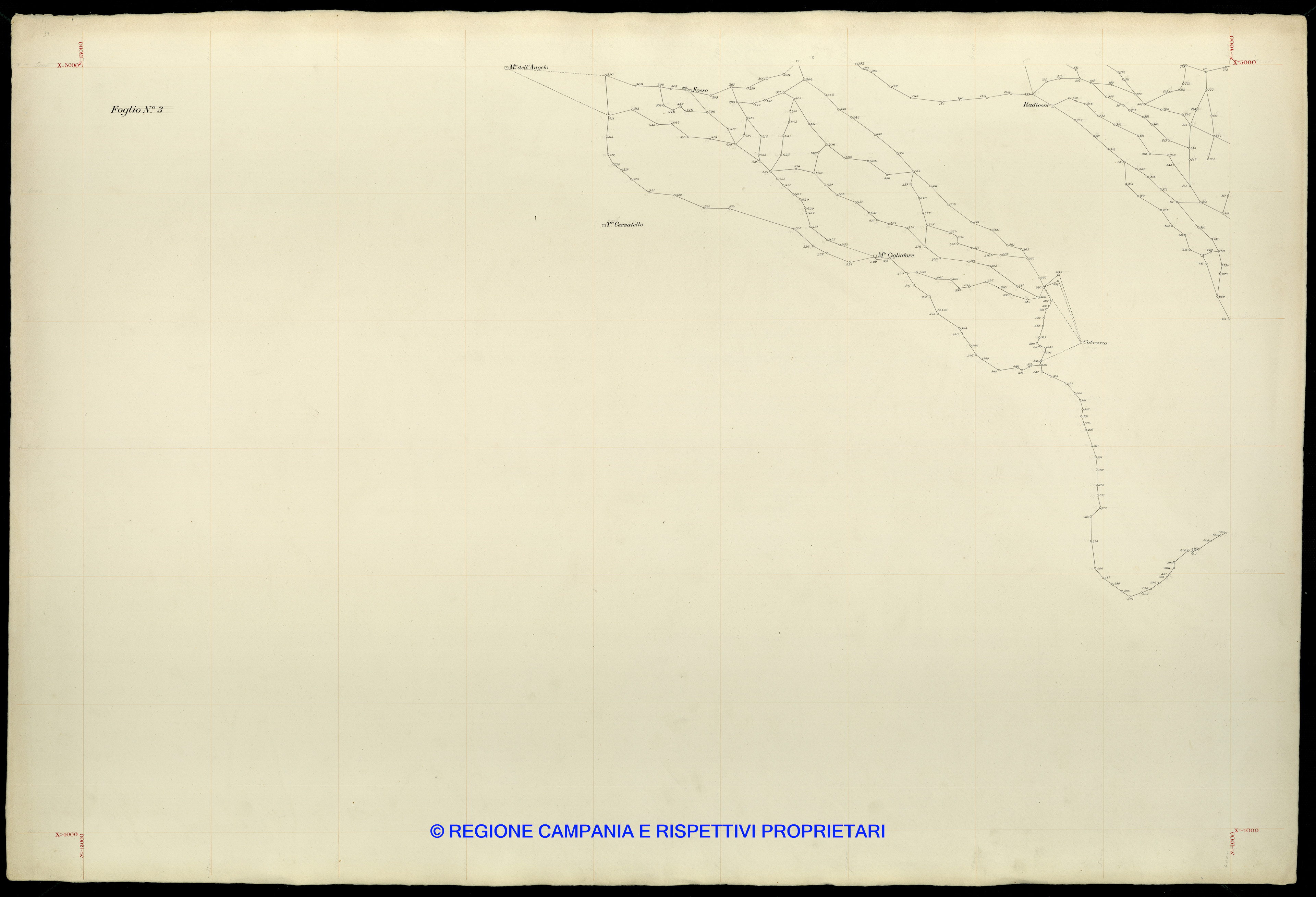 Grafico delle Poligonali Grafico delle Poligonali