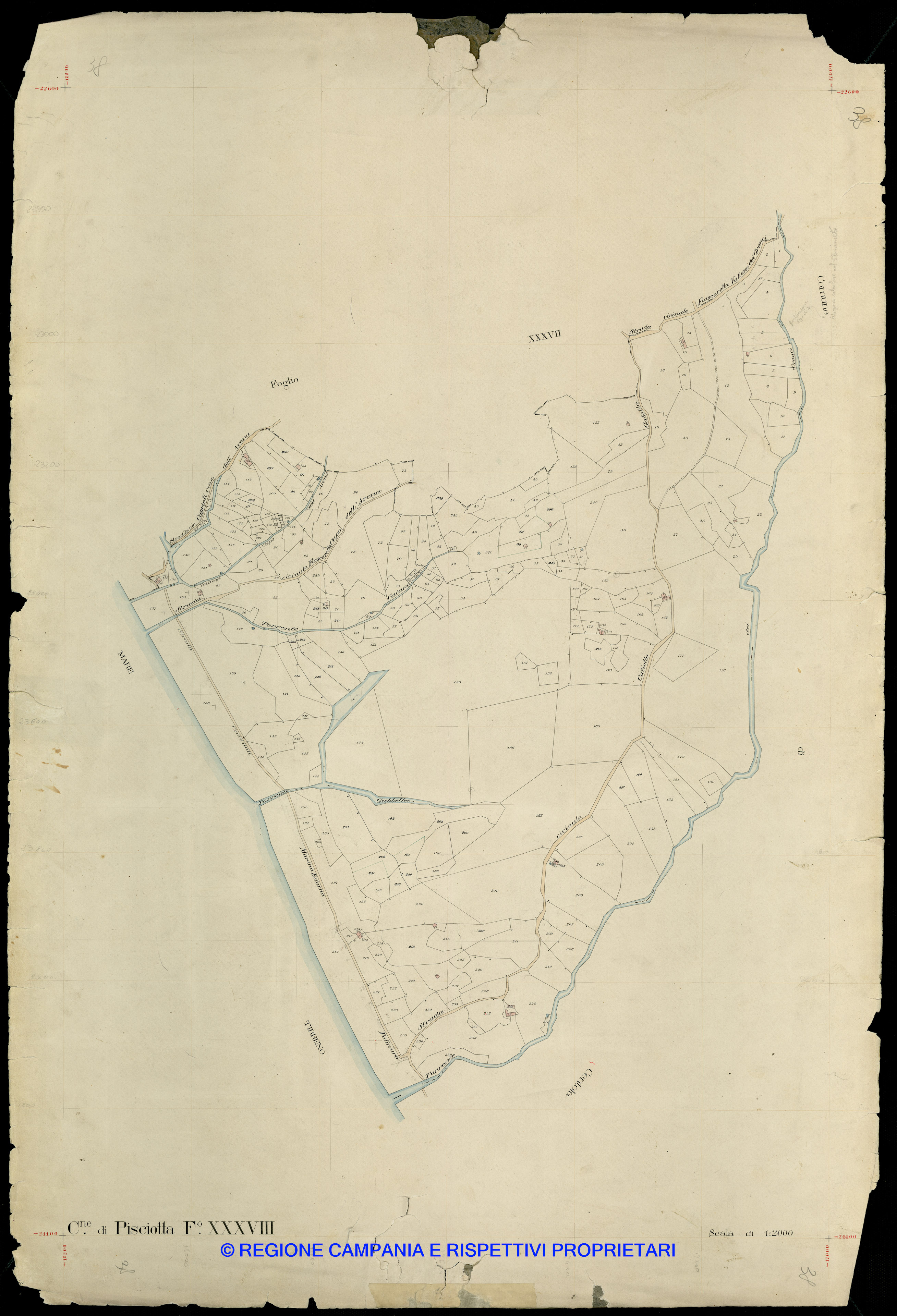 Mappa