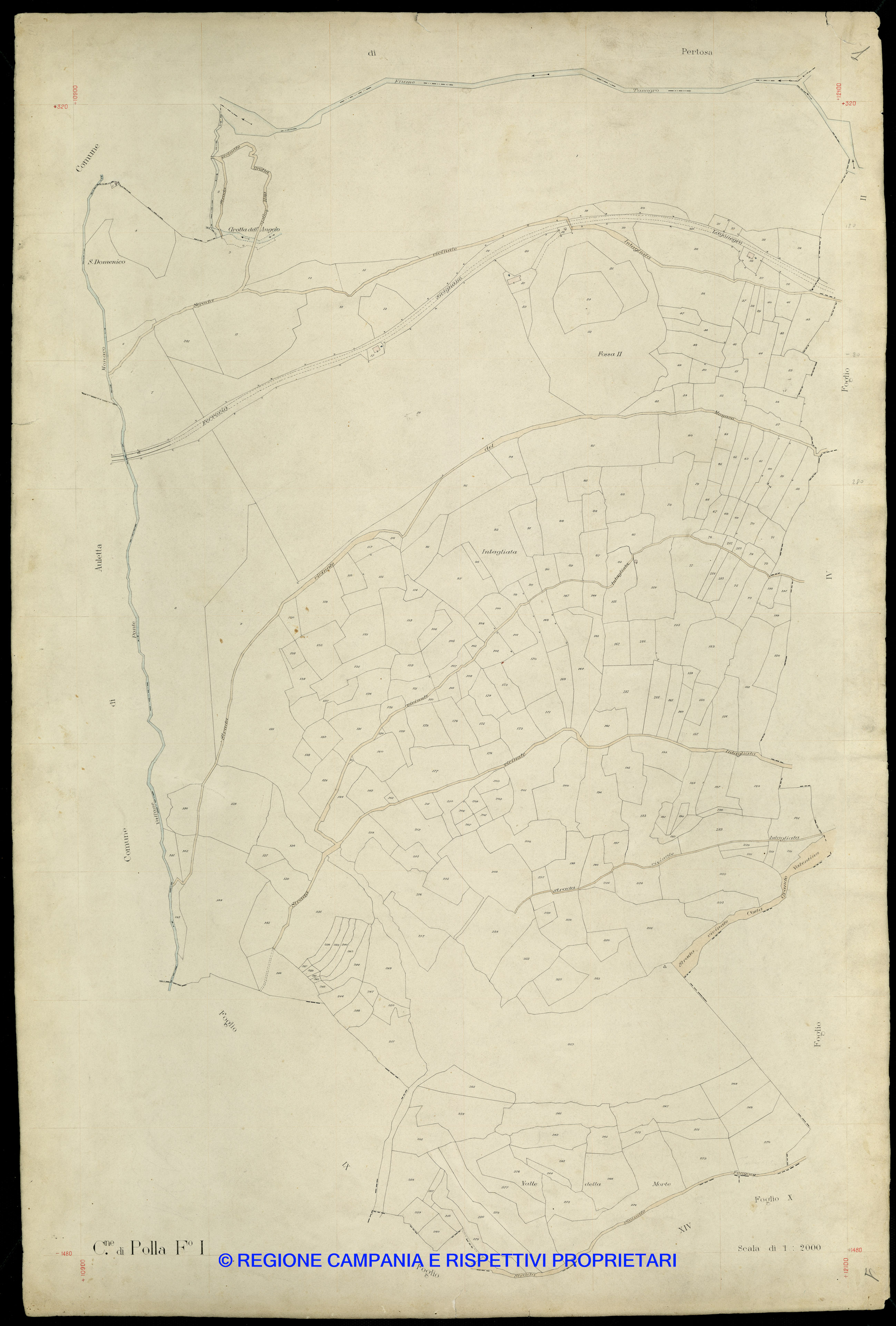 Mappa