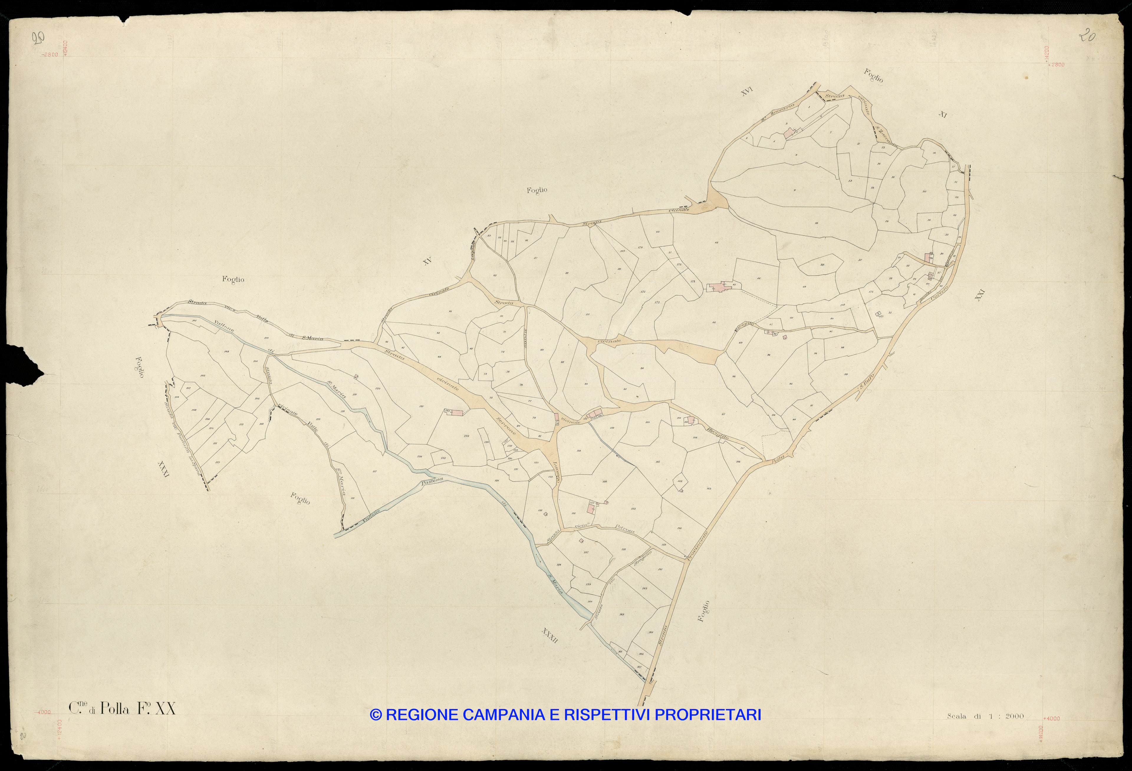 Mappa