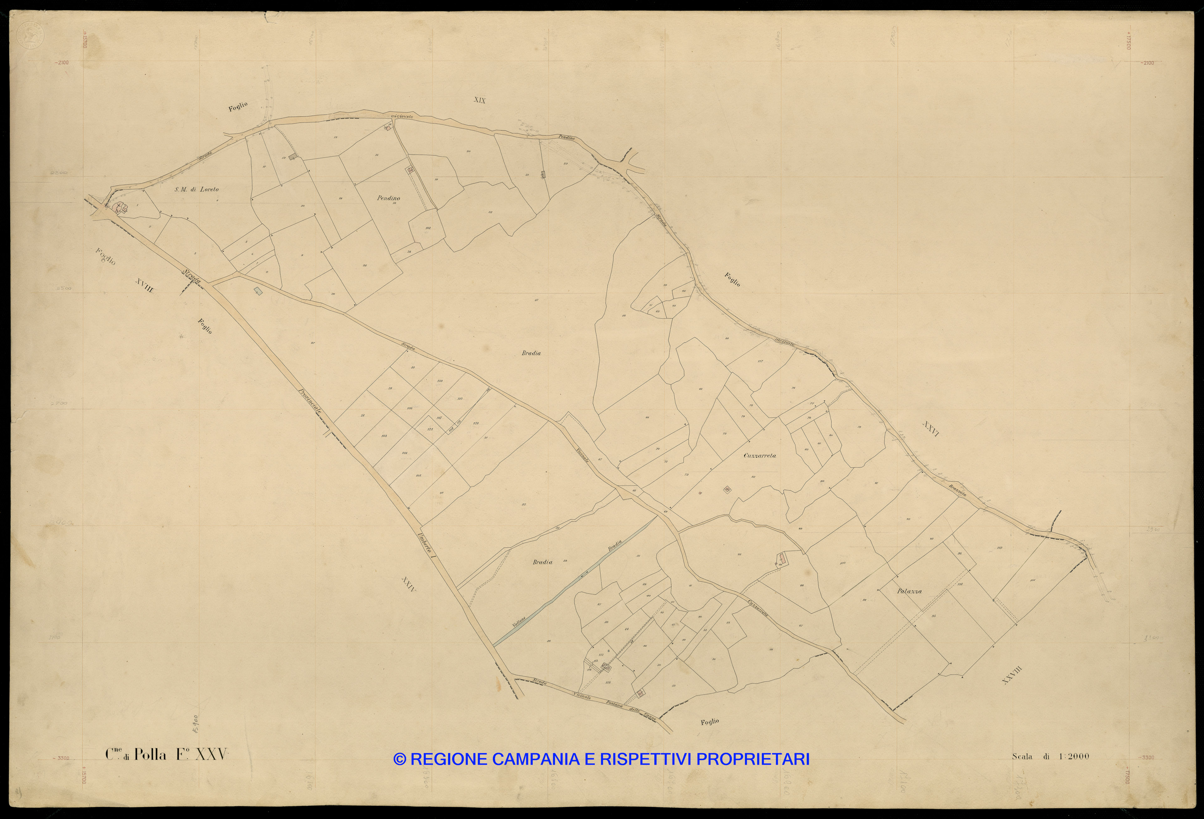 Mappa