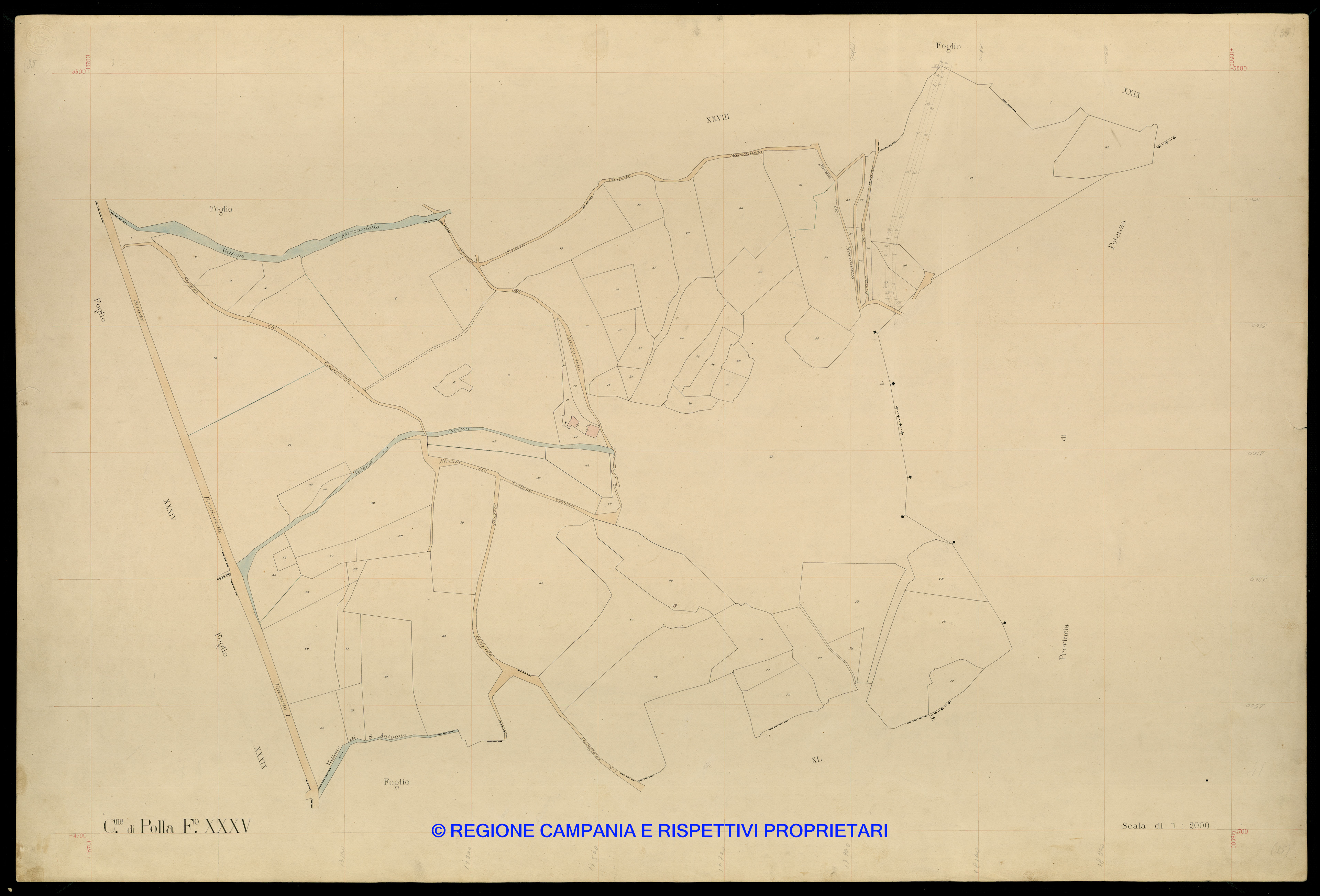 Mappa