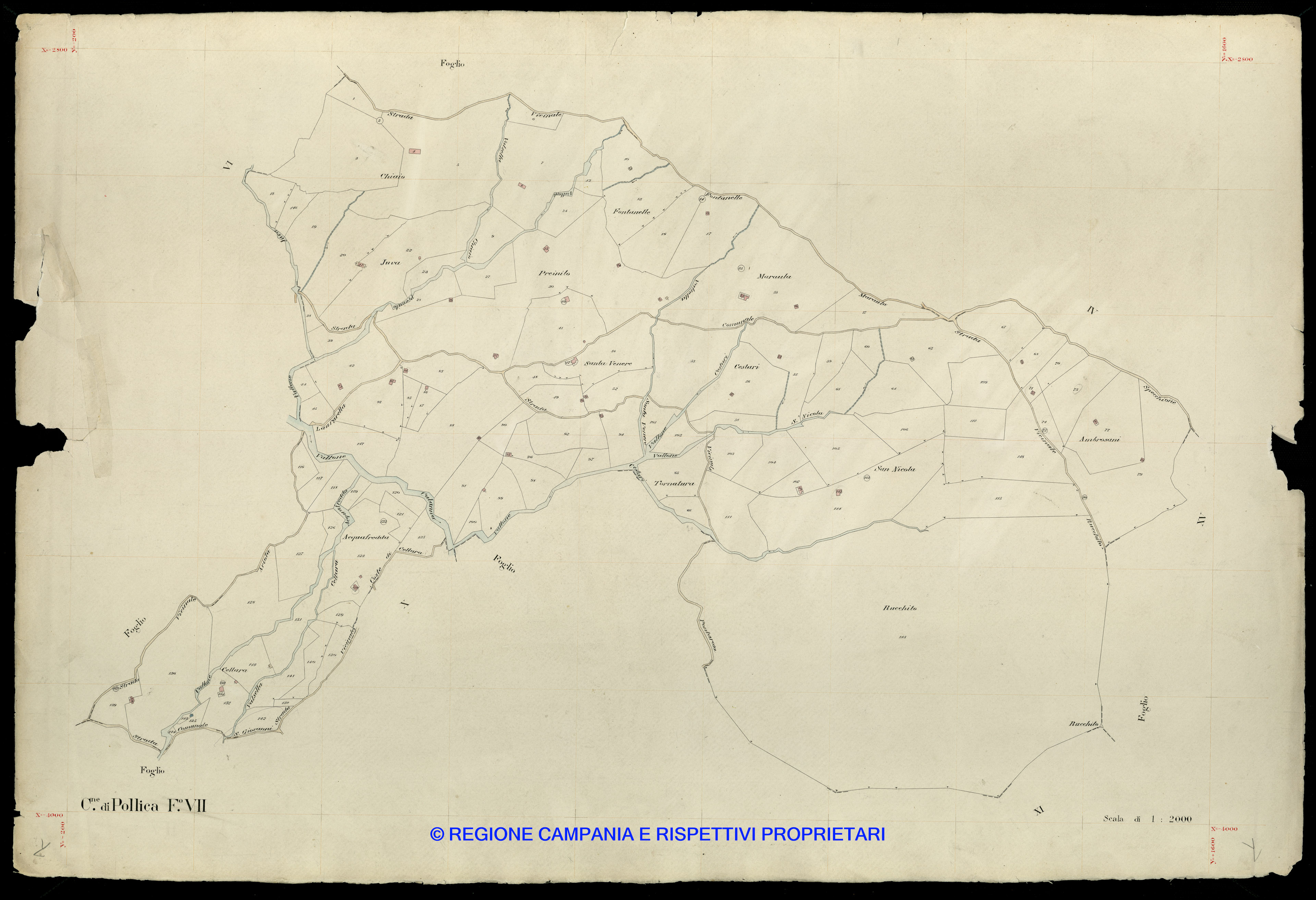 Mappa