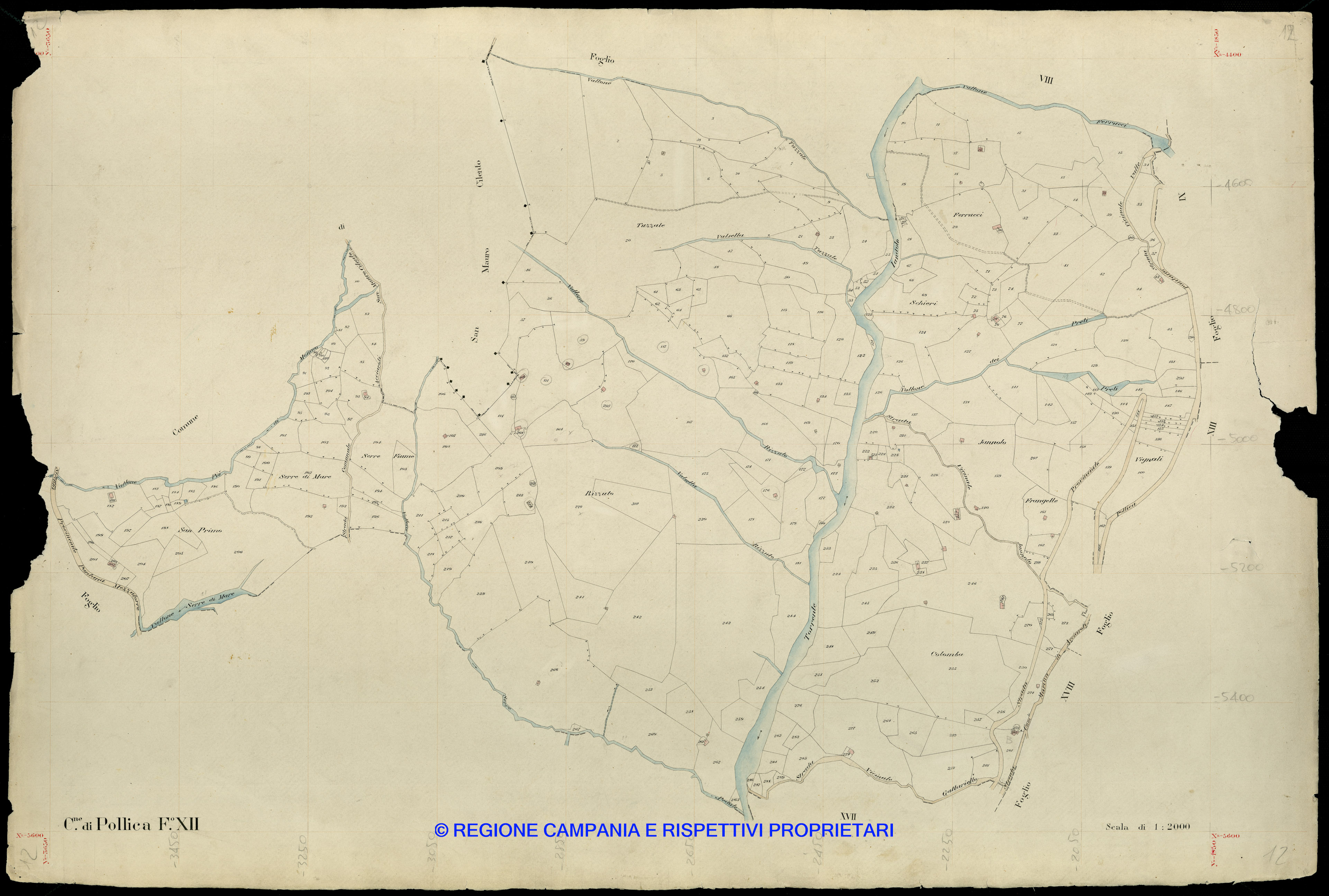 Mappa