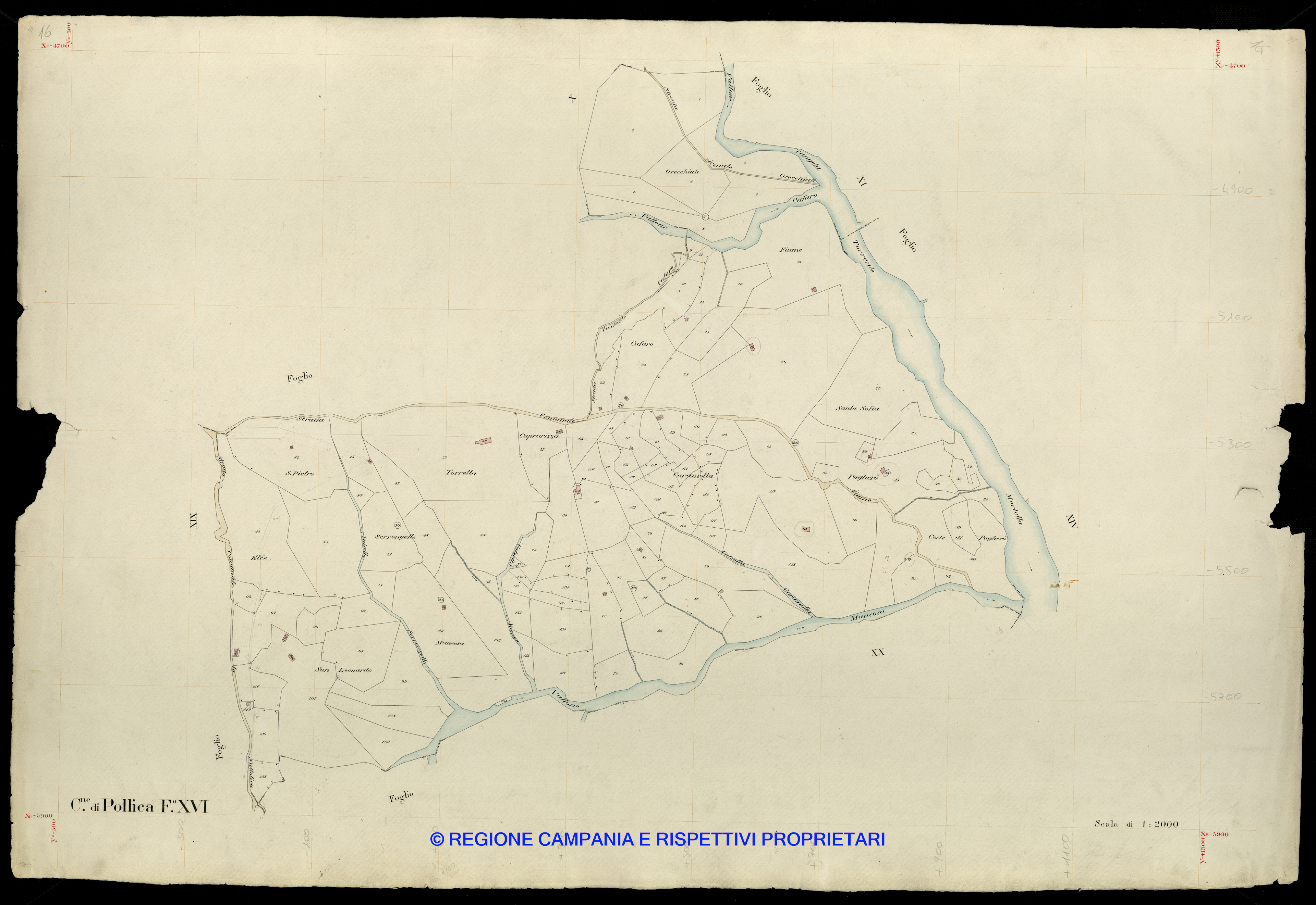 Mappa