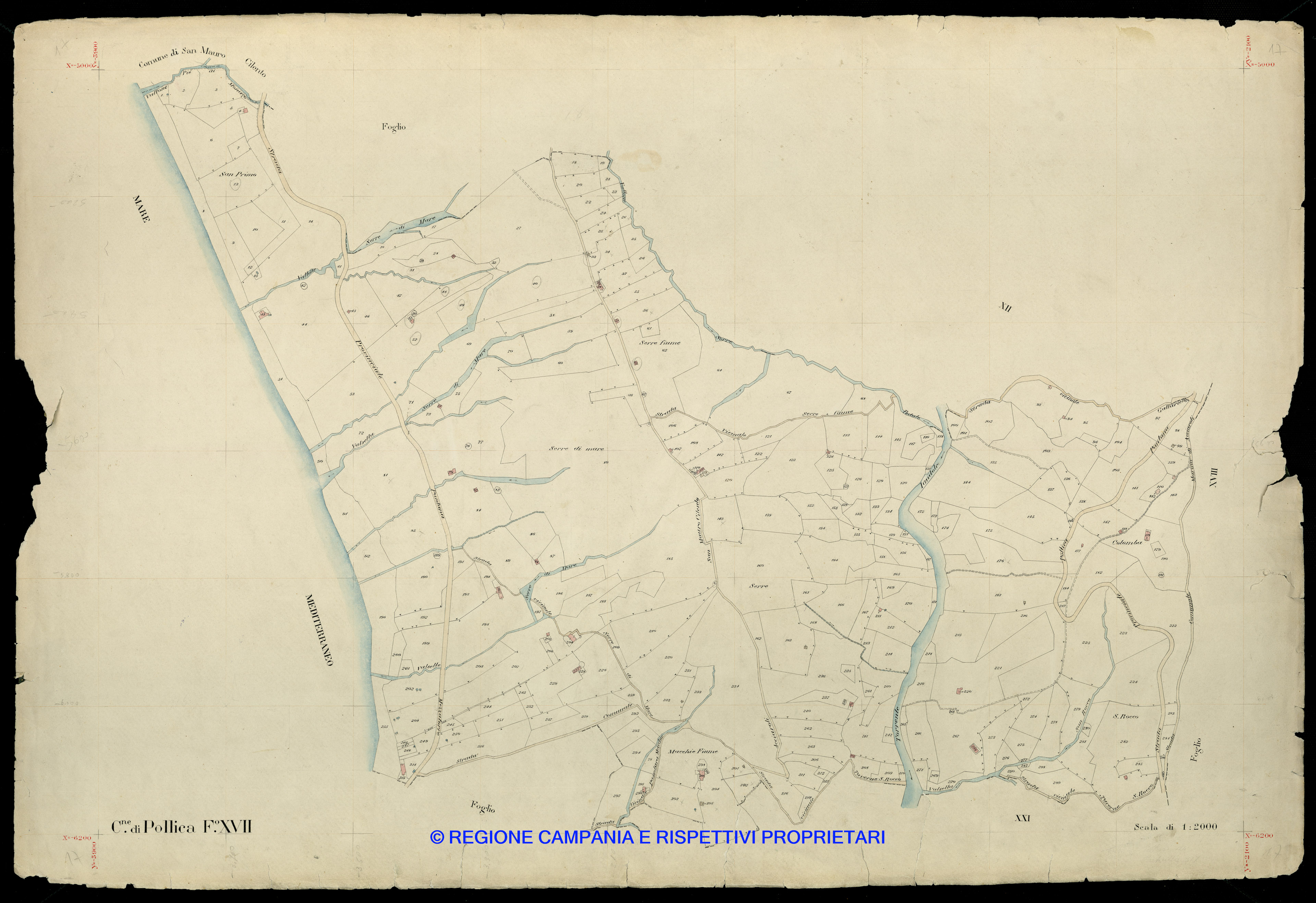 Mappa
