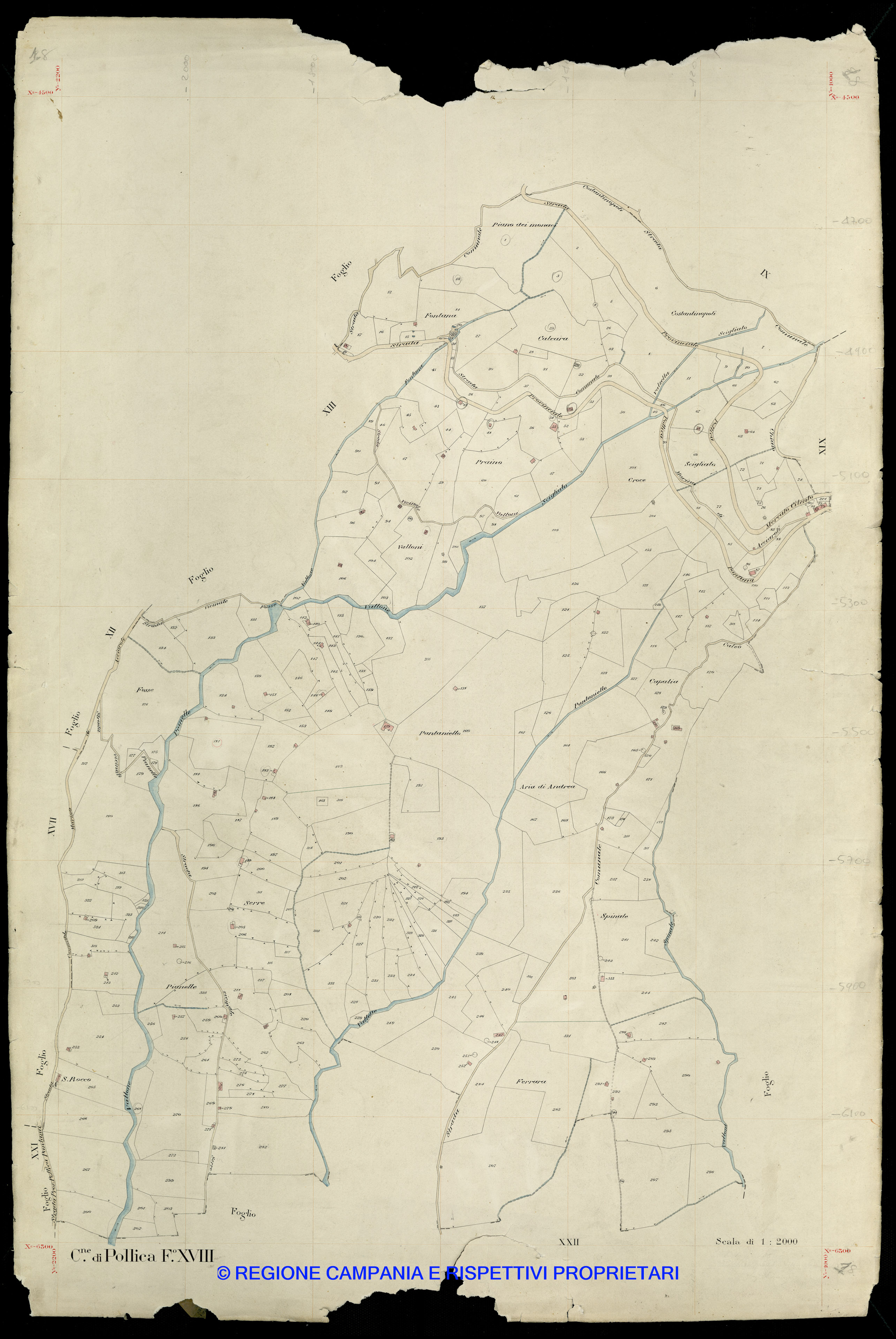 Mappa