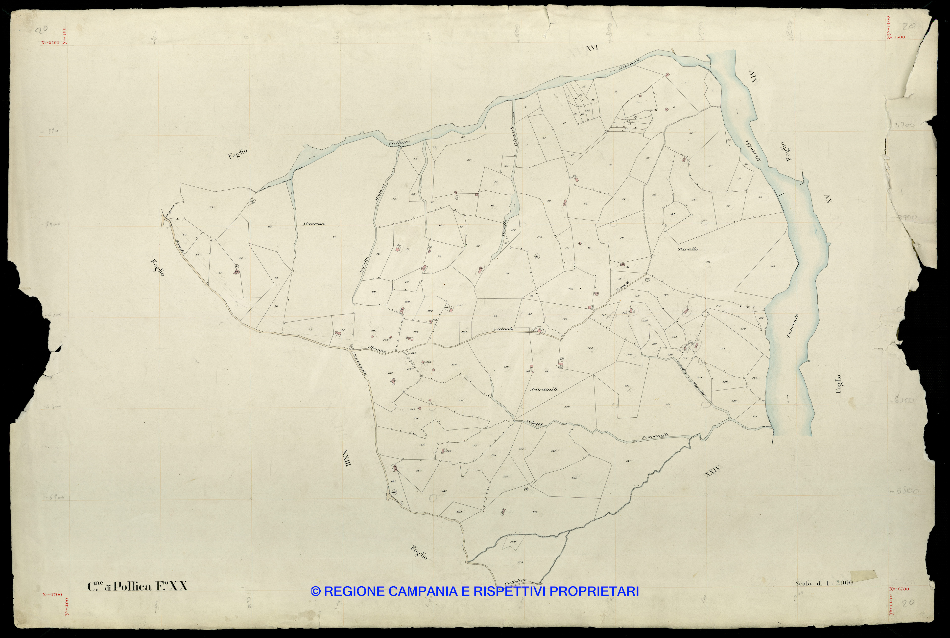 Mappa