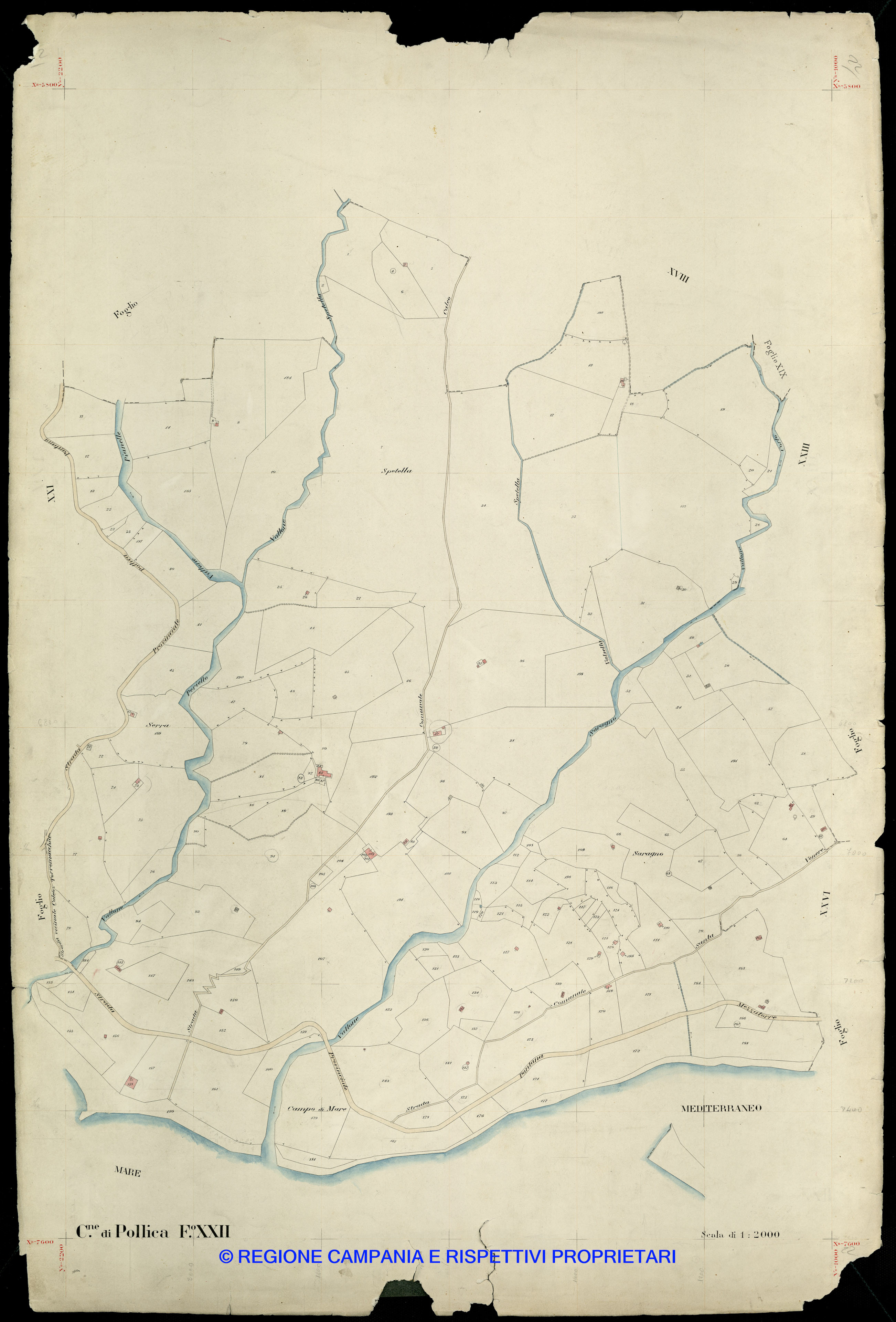Mappa
